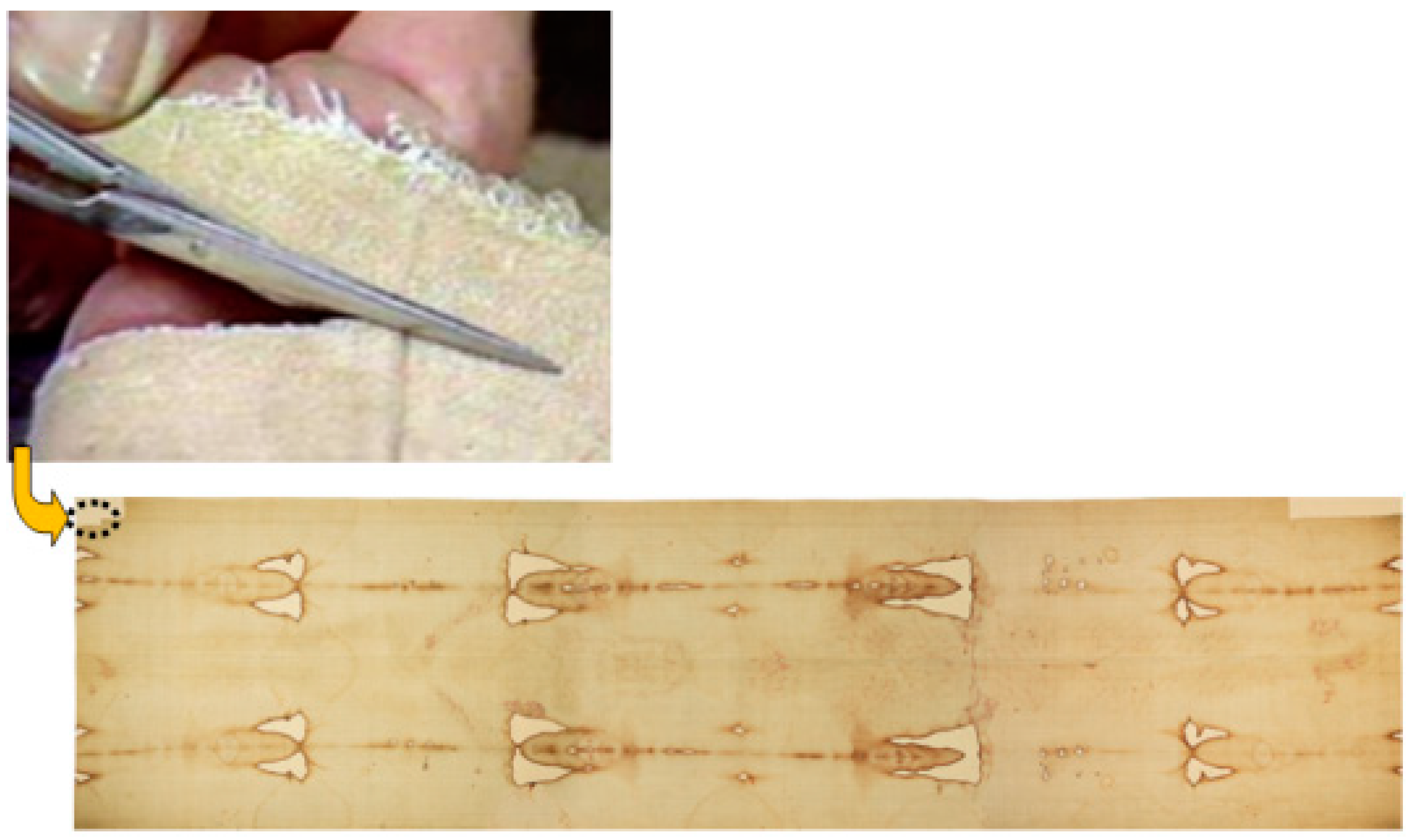 Entropy 22 00926 g001