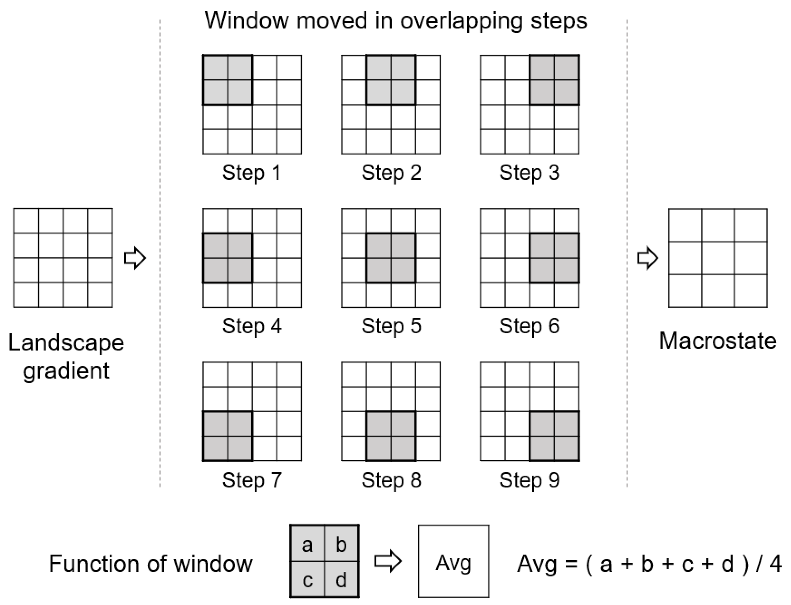 Entropy 22 00937 g004