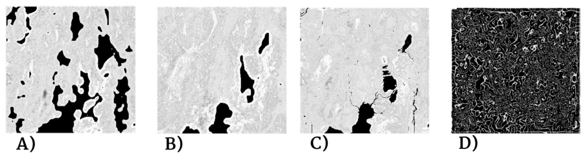 Entropy 22 00946 g008