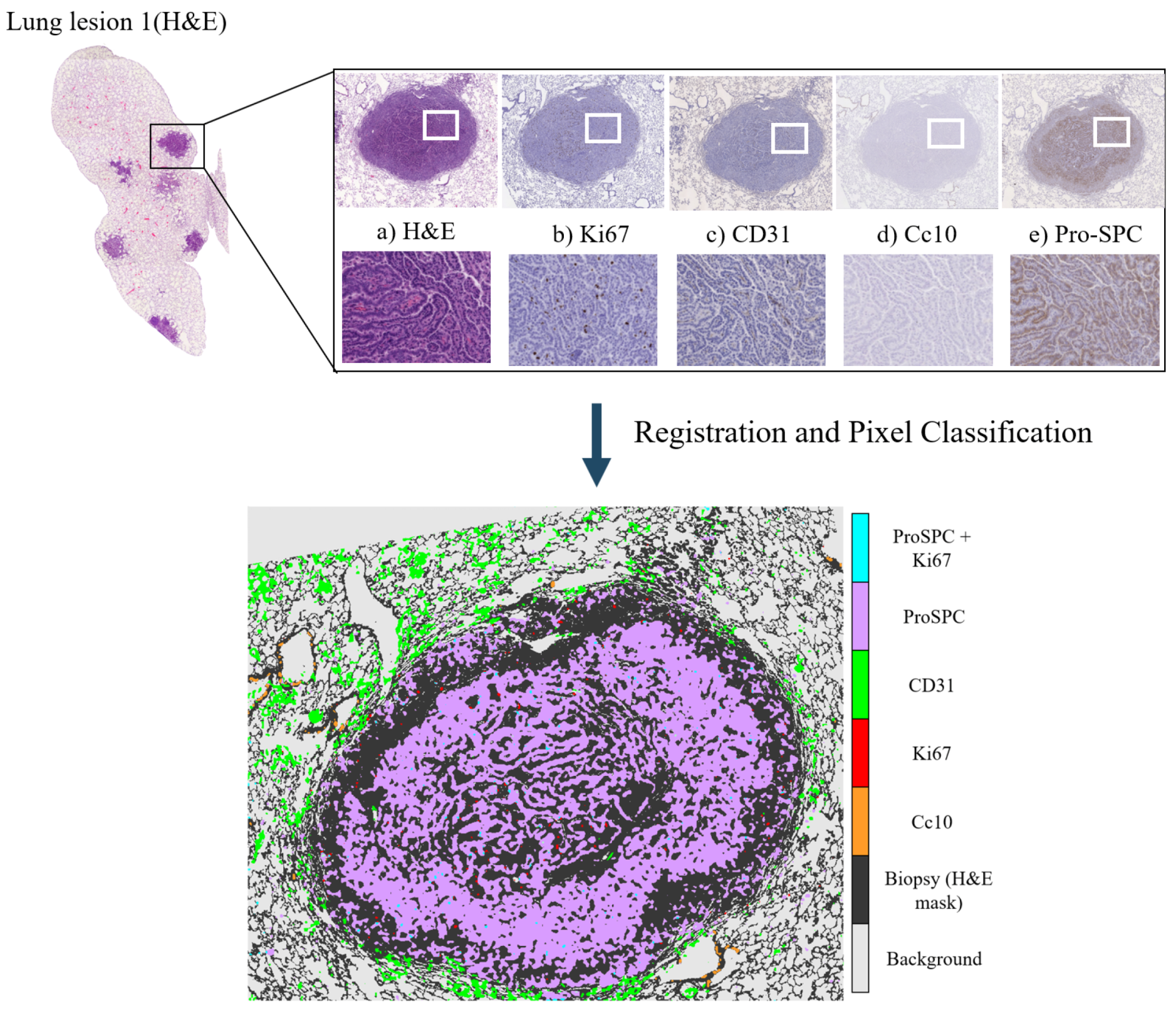 Entropy 22 00946 g011