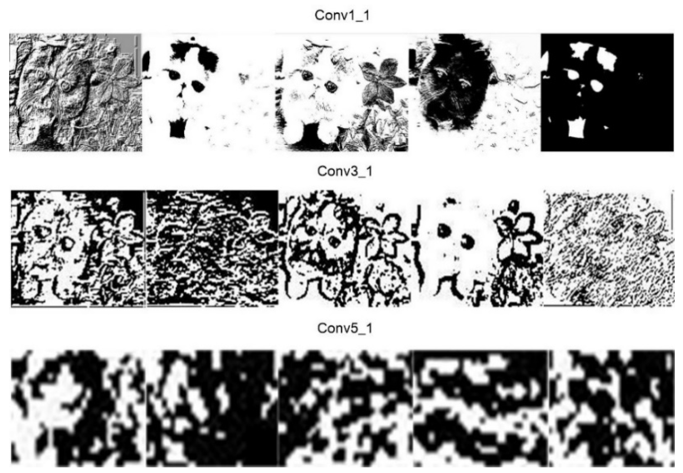Entropy 22 00949 g005