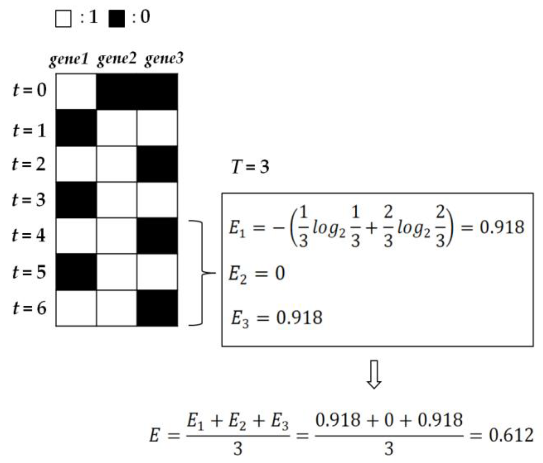 Entropy 22 00986 g003