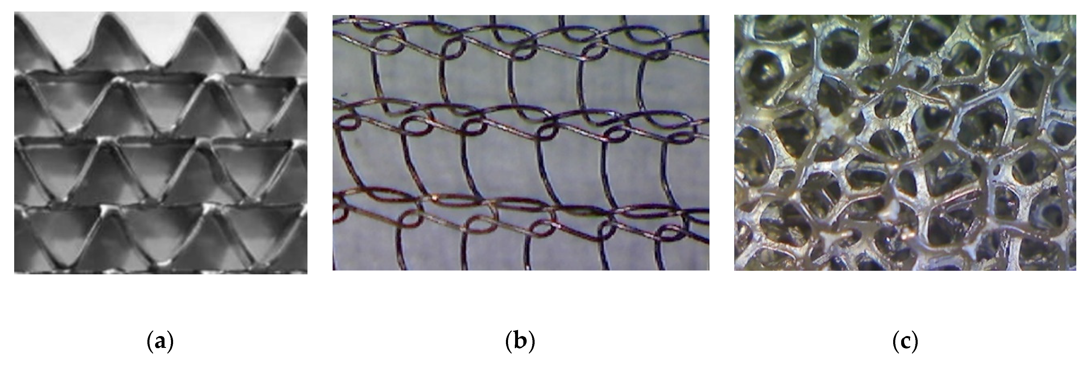 Entropy 22 01017 g002