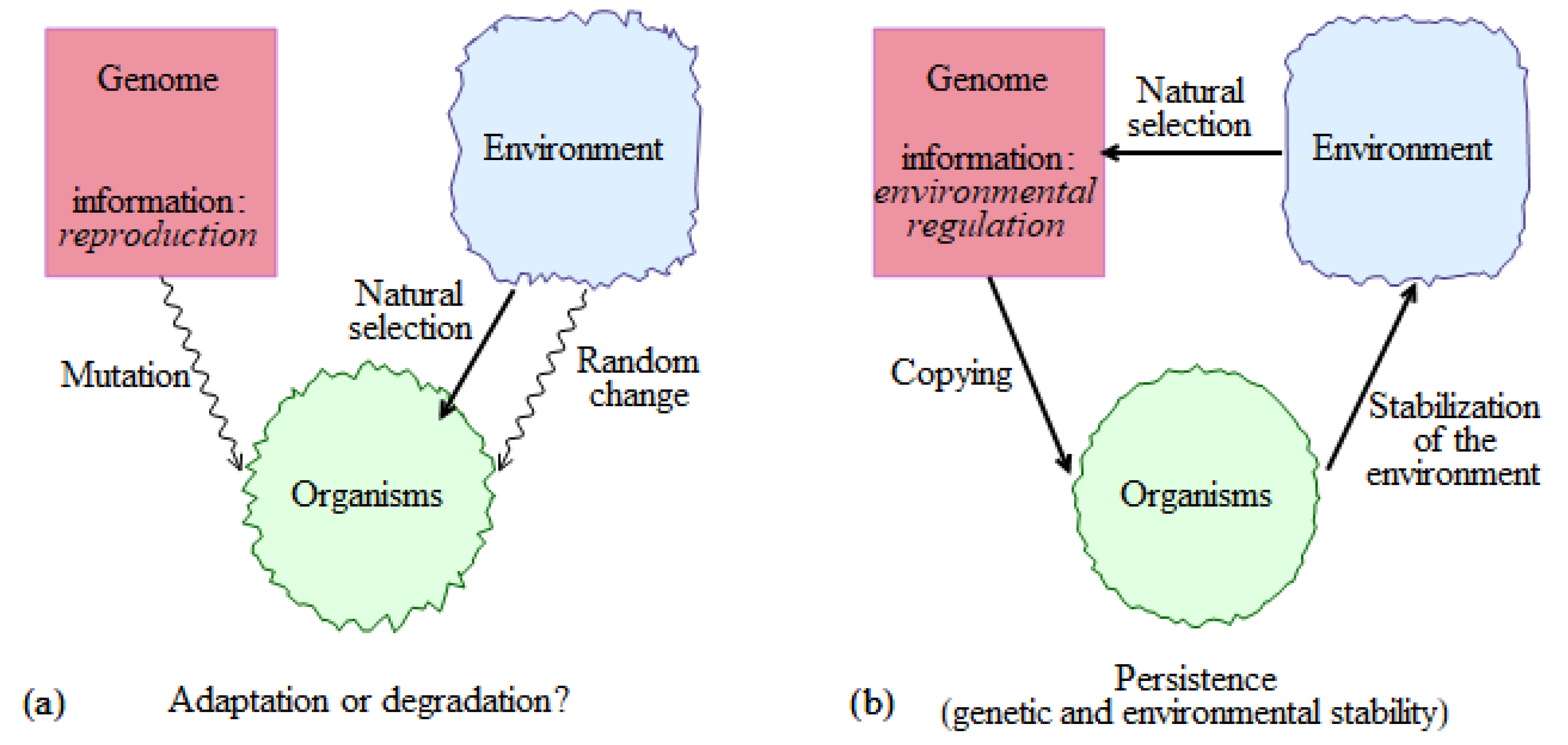 Entropy 22 01025 g001