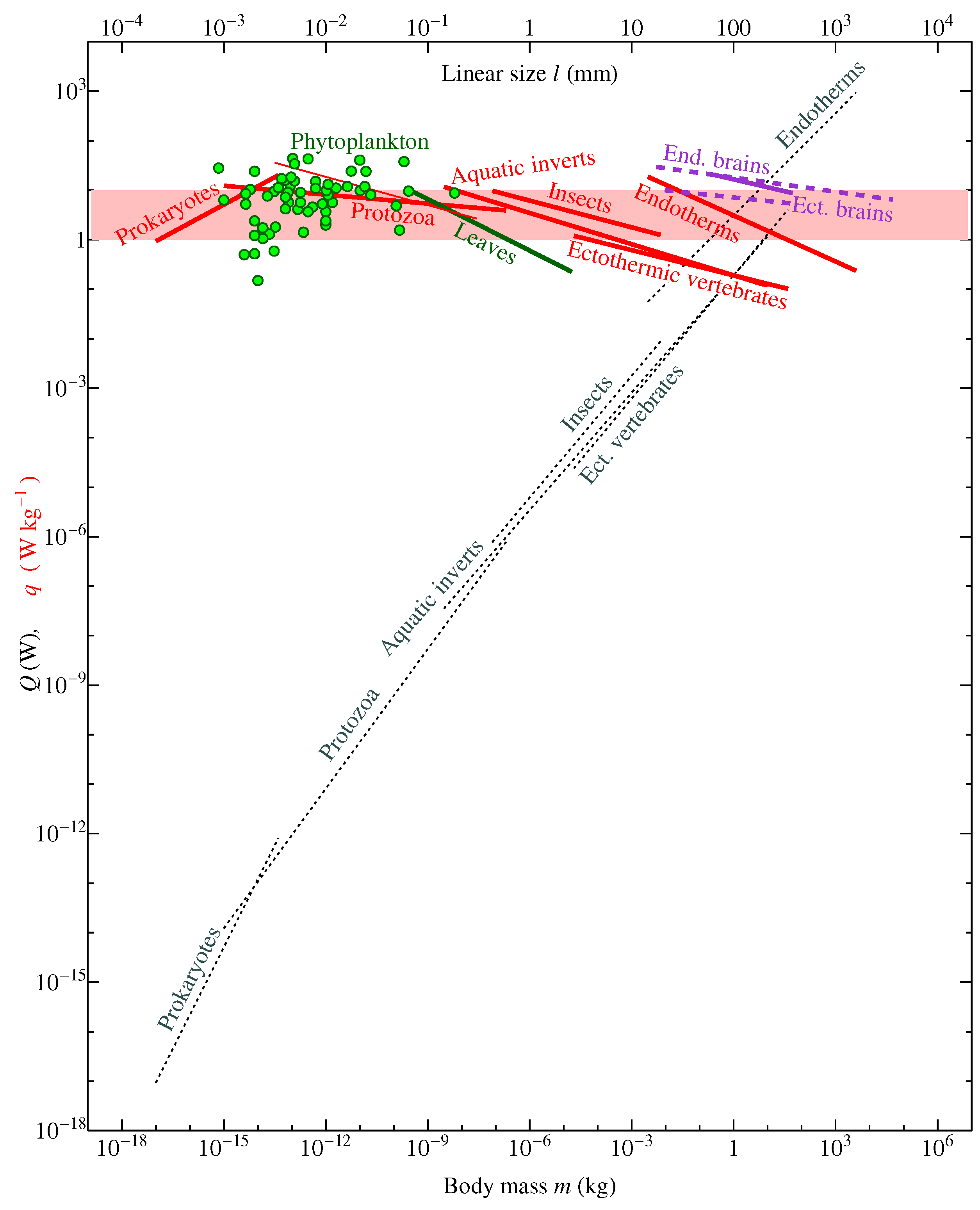 Entropy 22 01025 g002