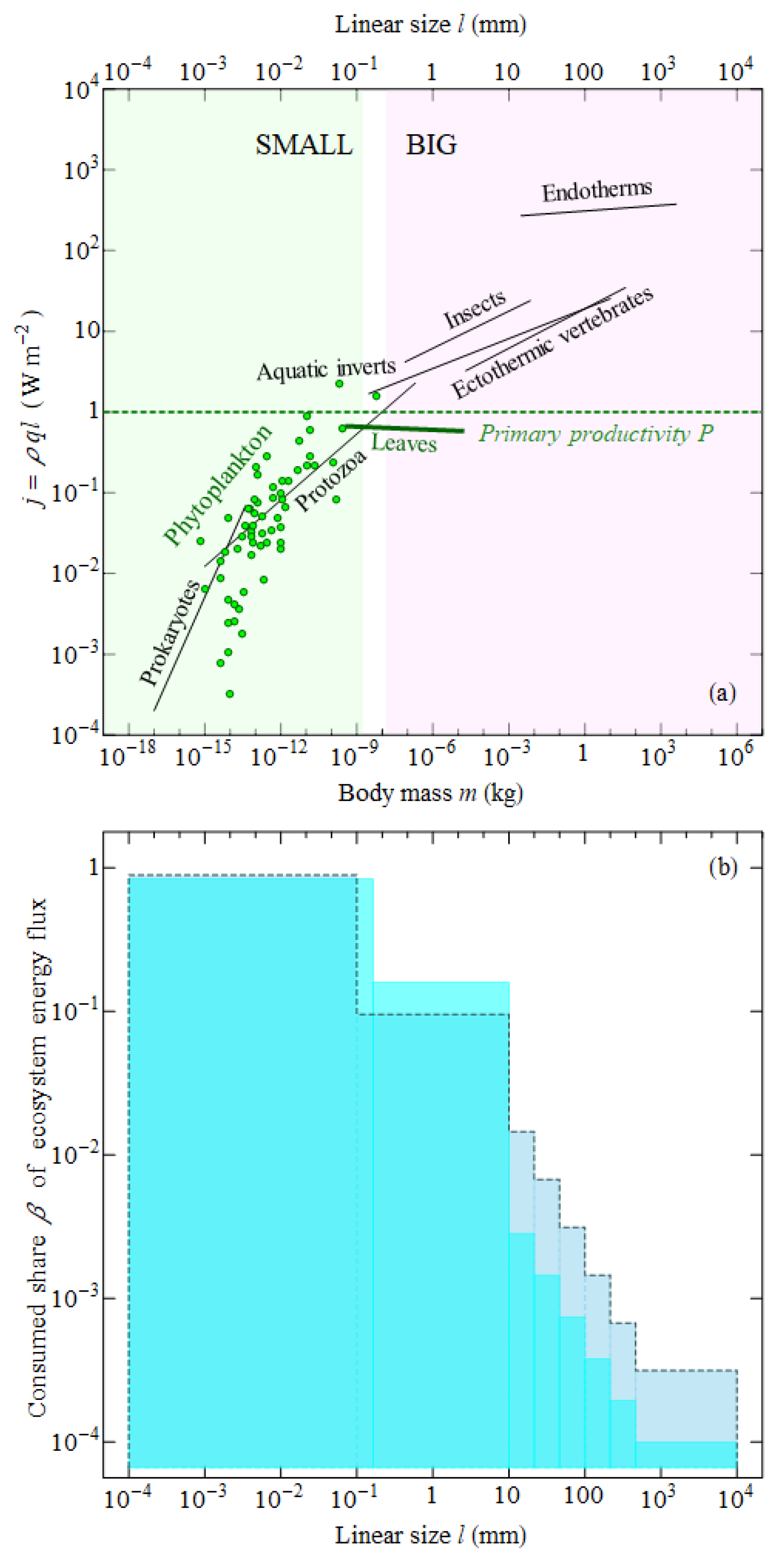 Entropy 22 01025 g004