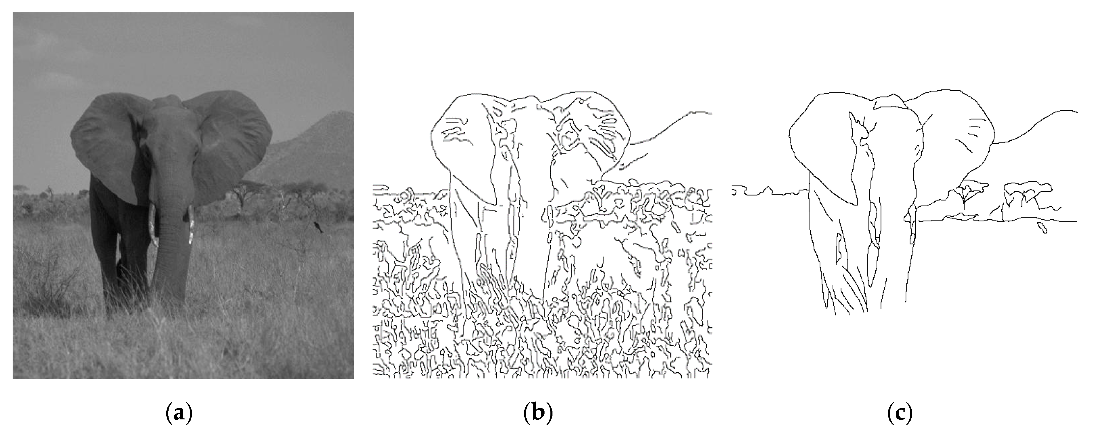Entropy 22 01080 g001