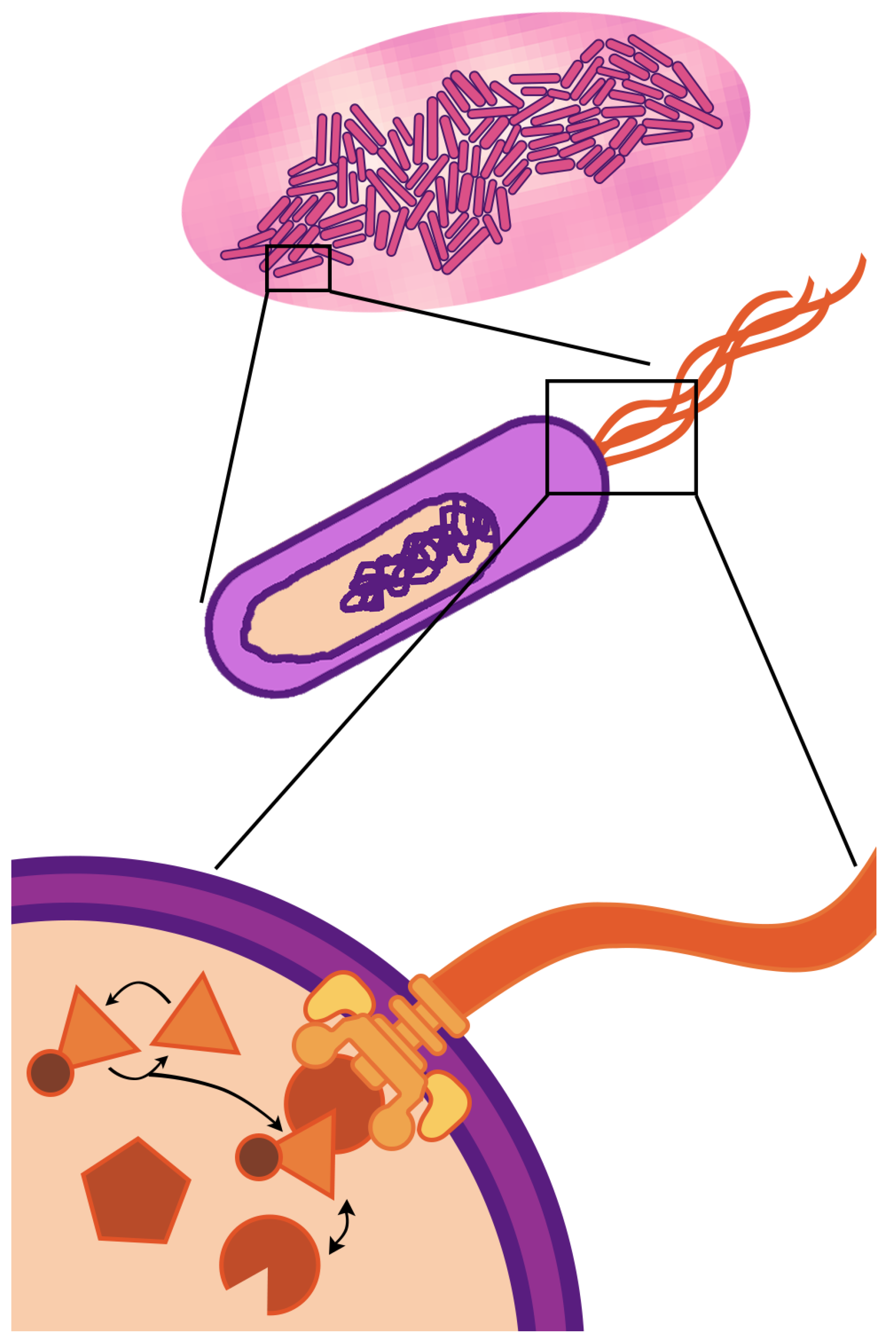 Entropy 22 01101 g001