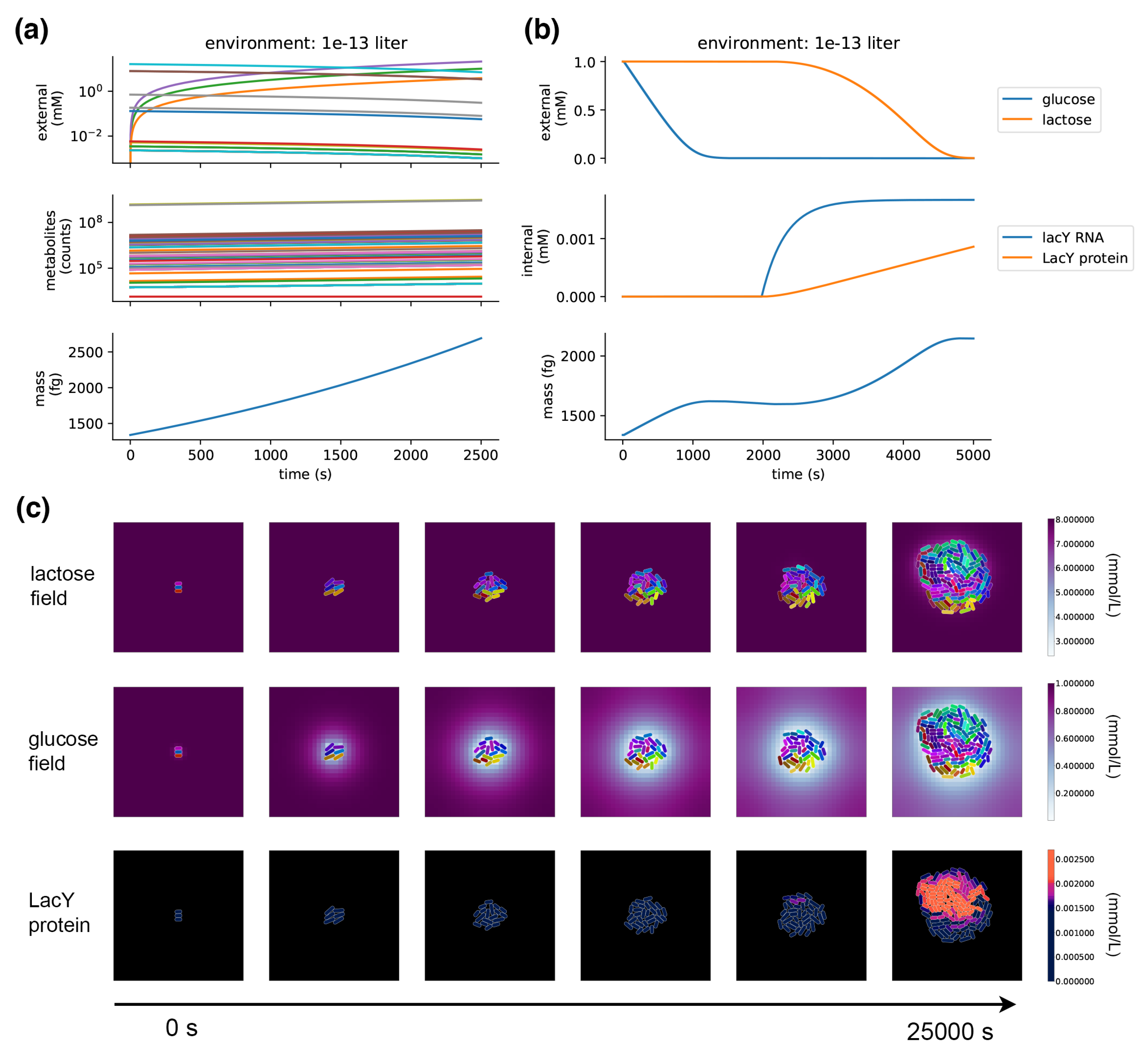Entropy 22 01101 g005