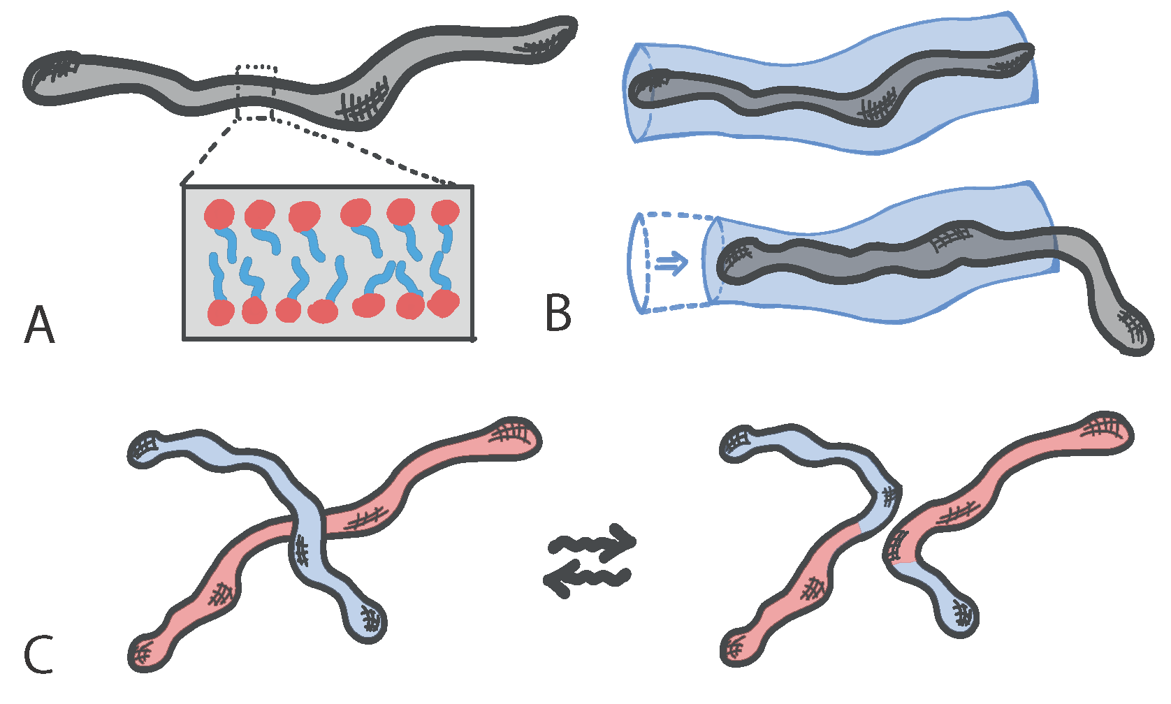 Entropy 22 01130 g001