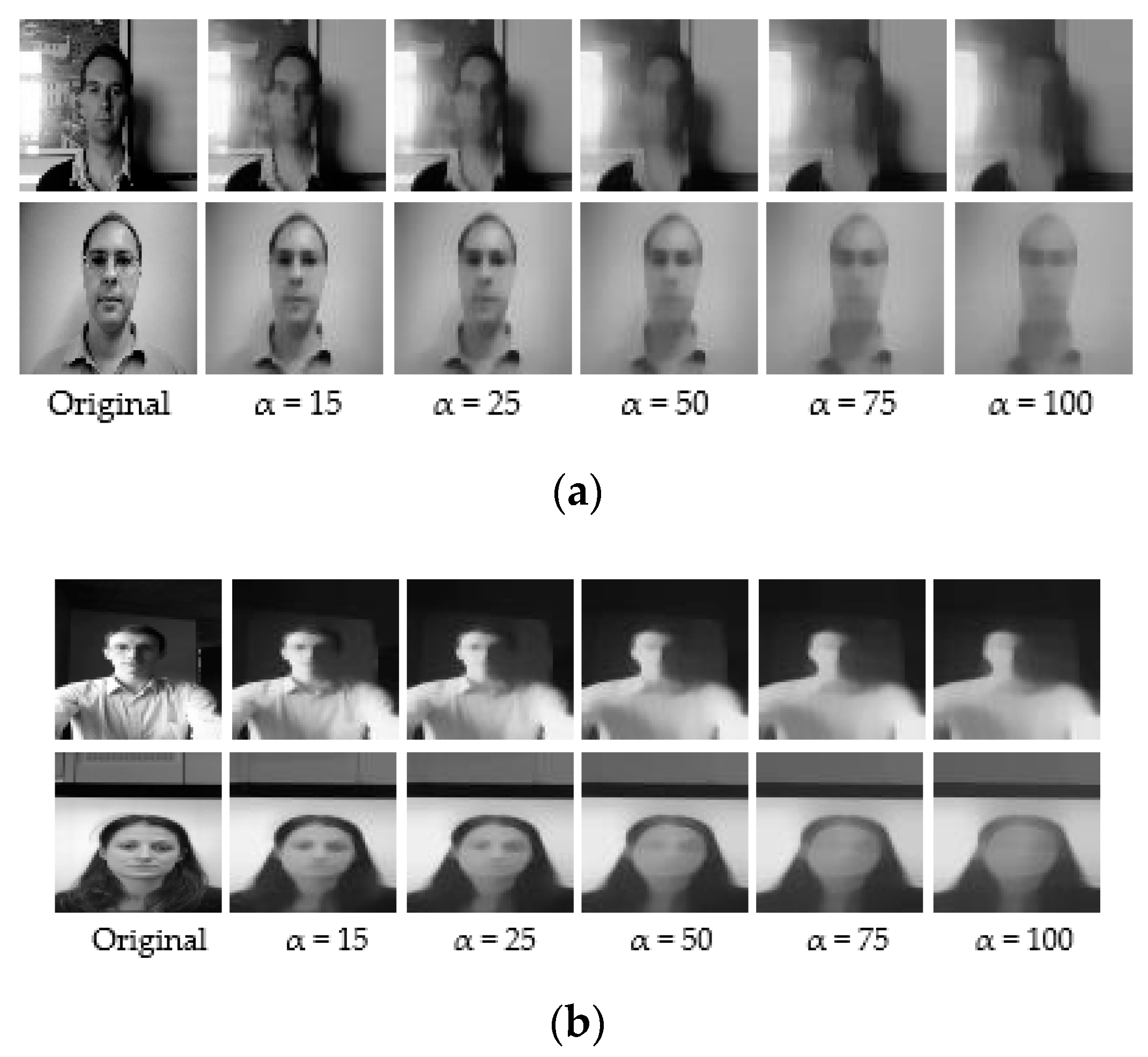 Entropy 22 01186 g004