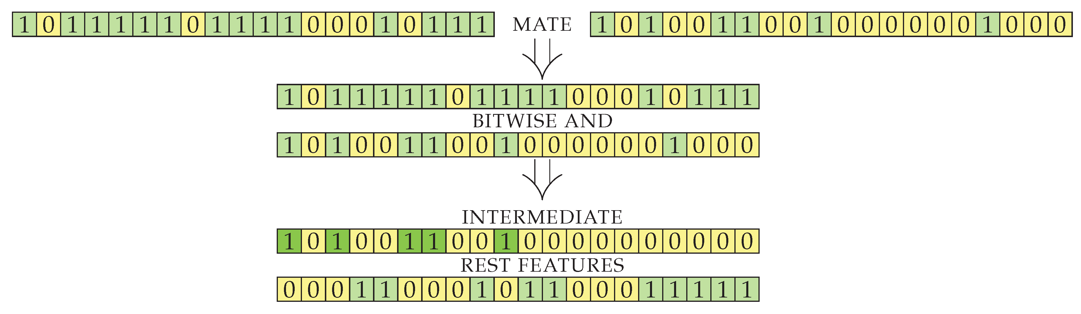 Entropy 22 01198 g003