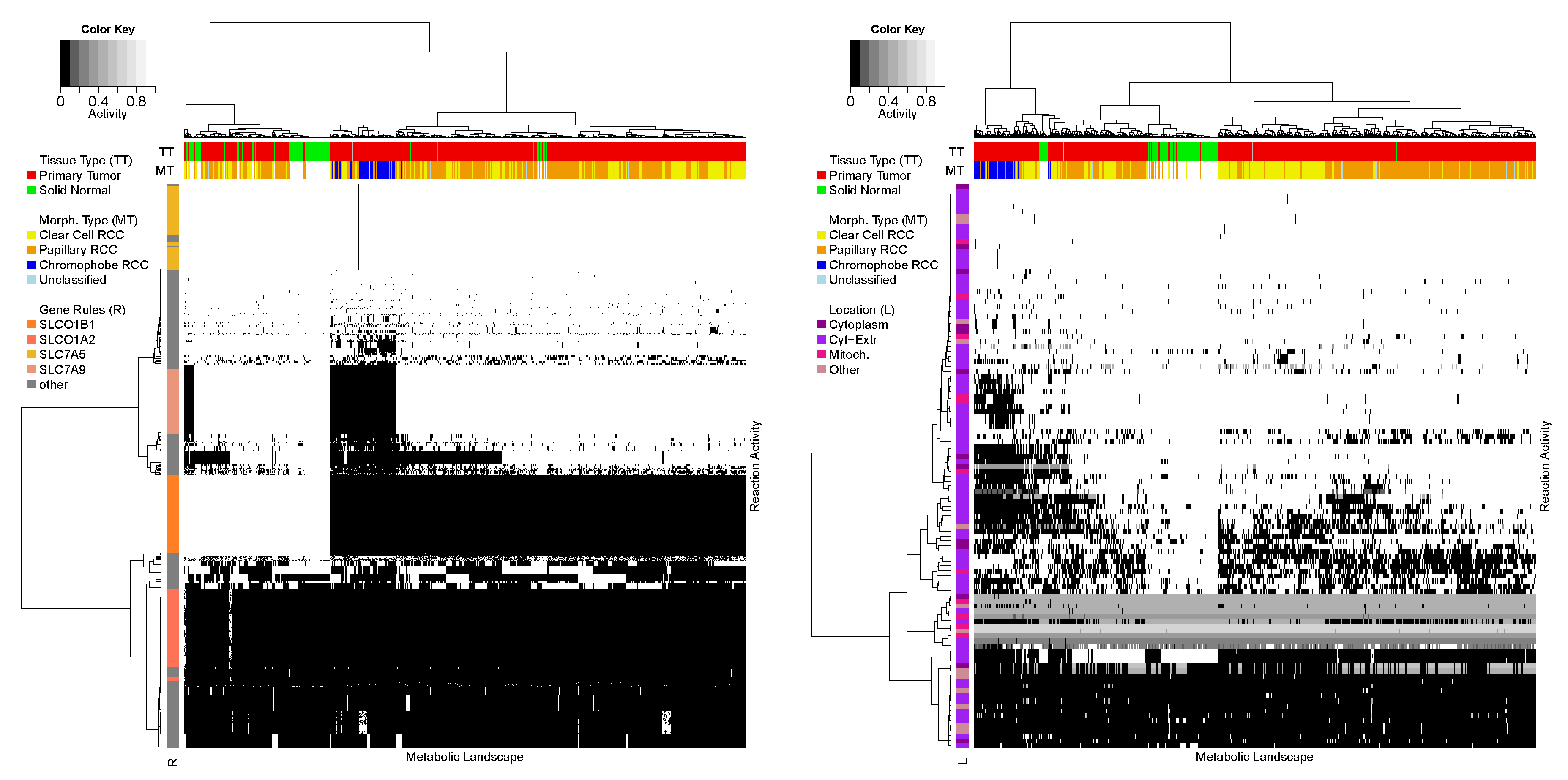 Entropy 22 01238 g006