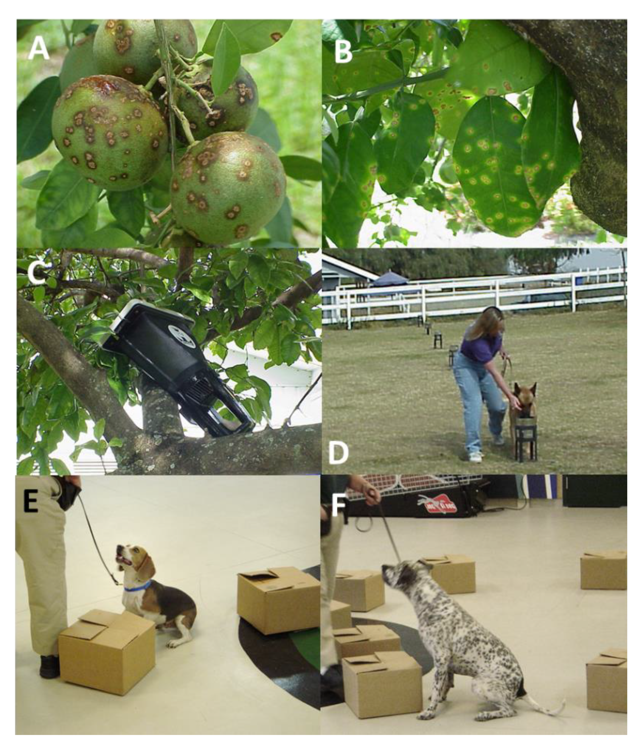 Entropy 22 01269 g001