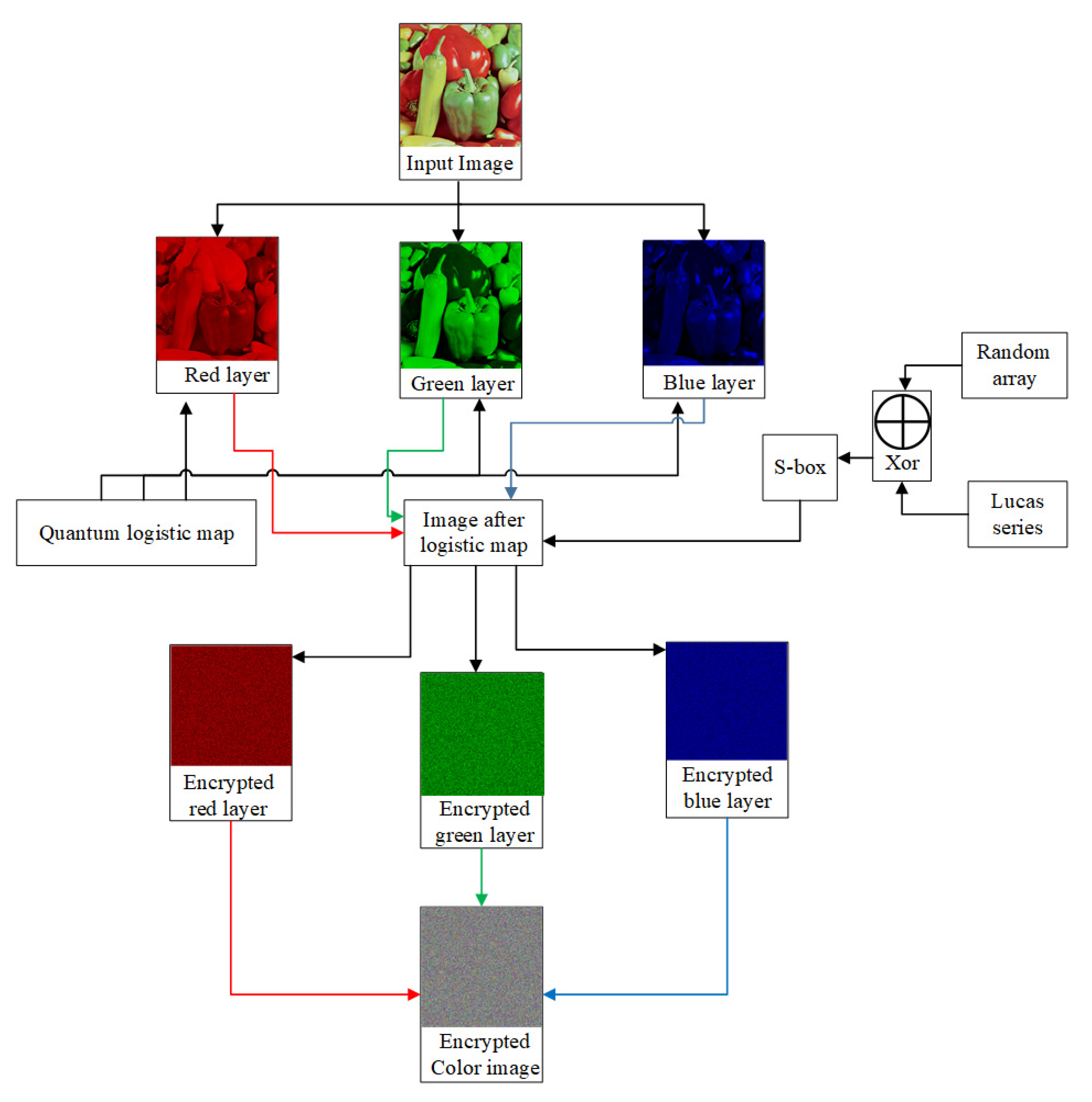 Entropy 22 01276 g005