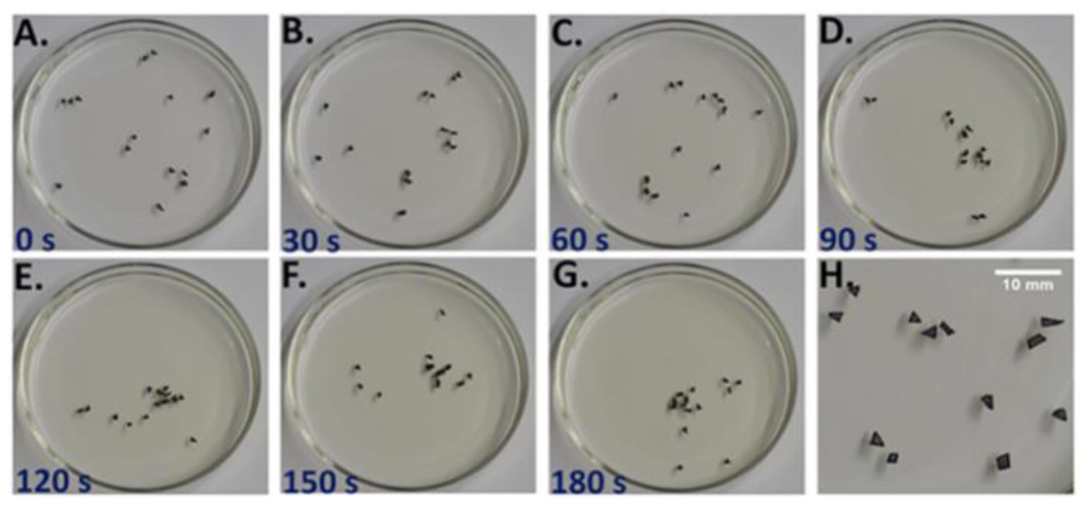Entropy 22 01305 g002