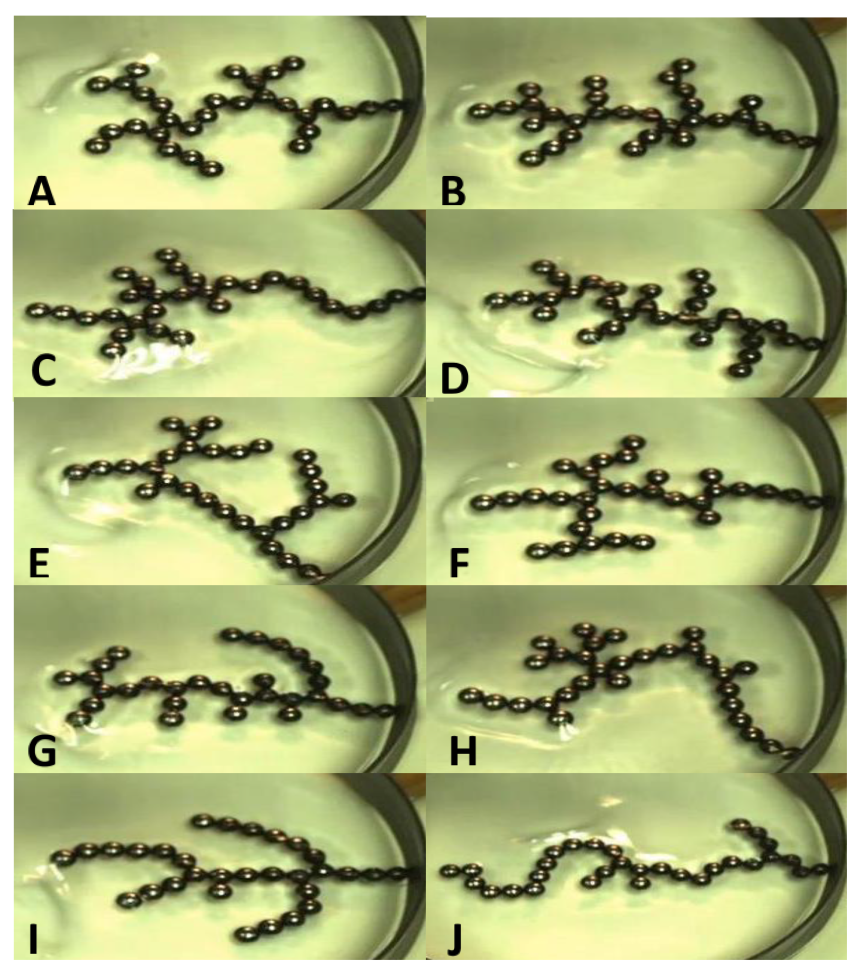 Entropy 22 01305 g004