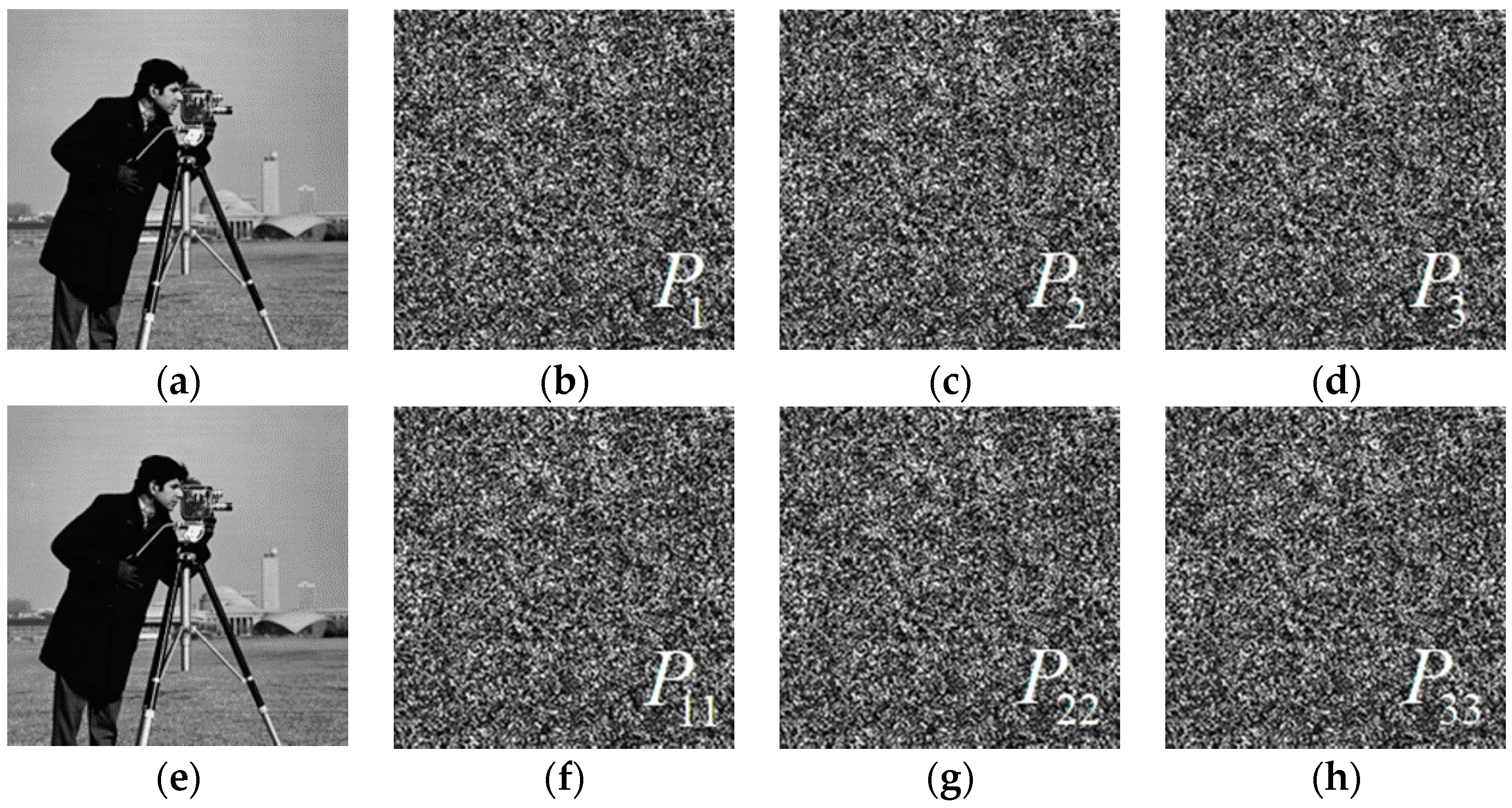 Entropy 22 01354 g018 Entropy 22 01354 g018