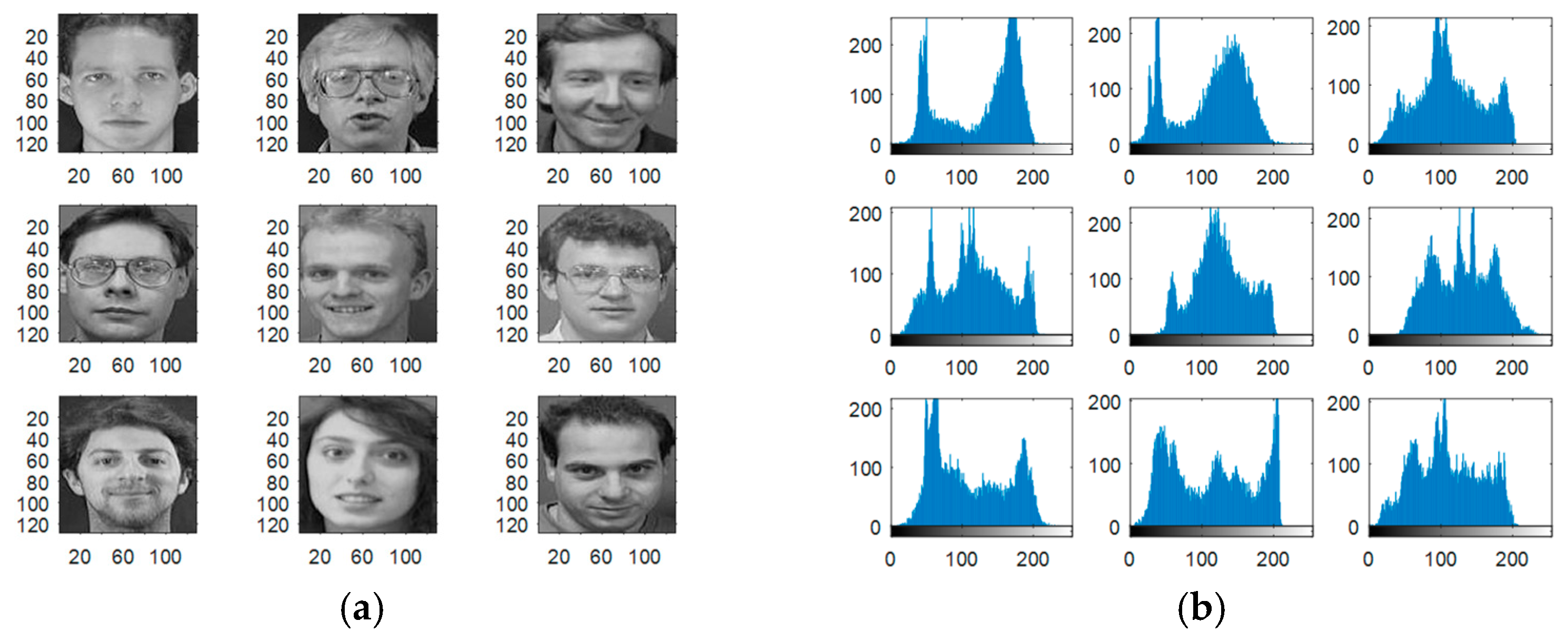 Entropy 22 01361 g005