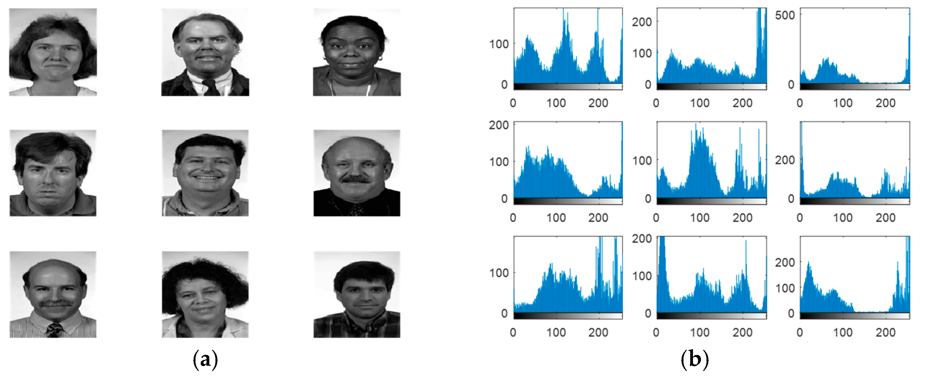Entropy 22 01361 g006