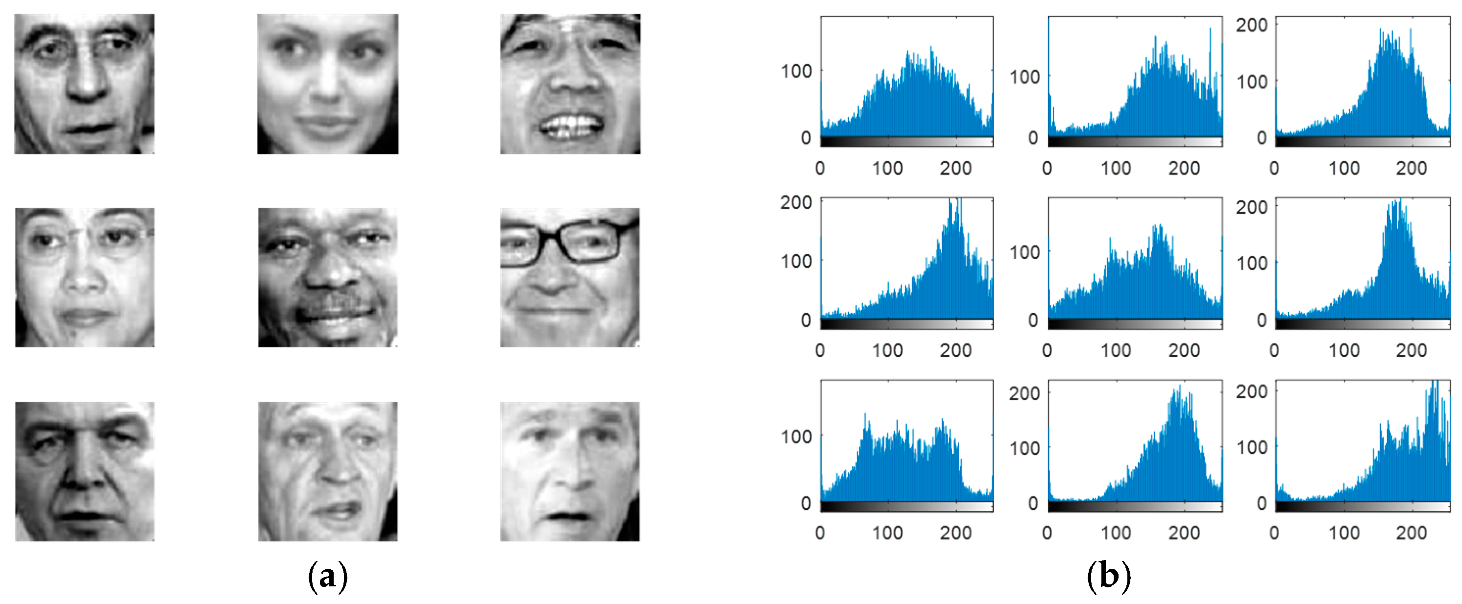 Entropy 22 01361 g007