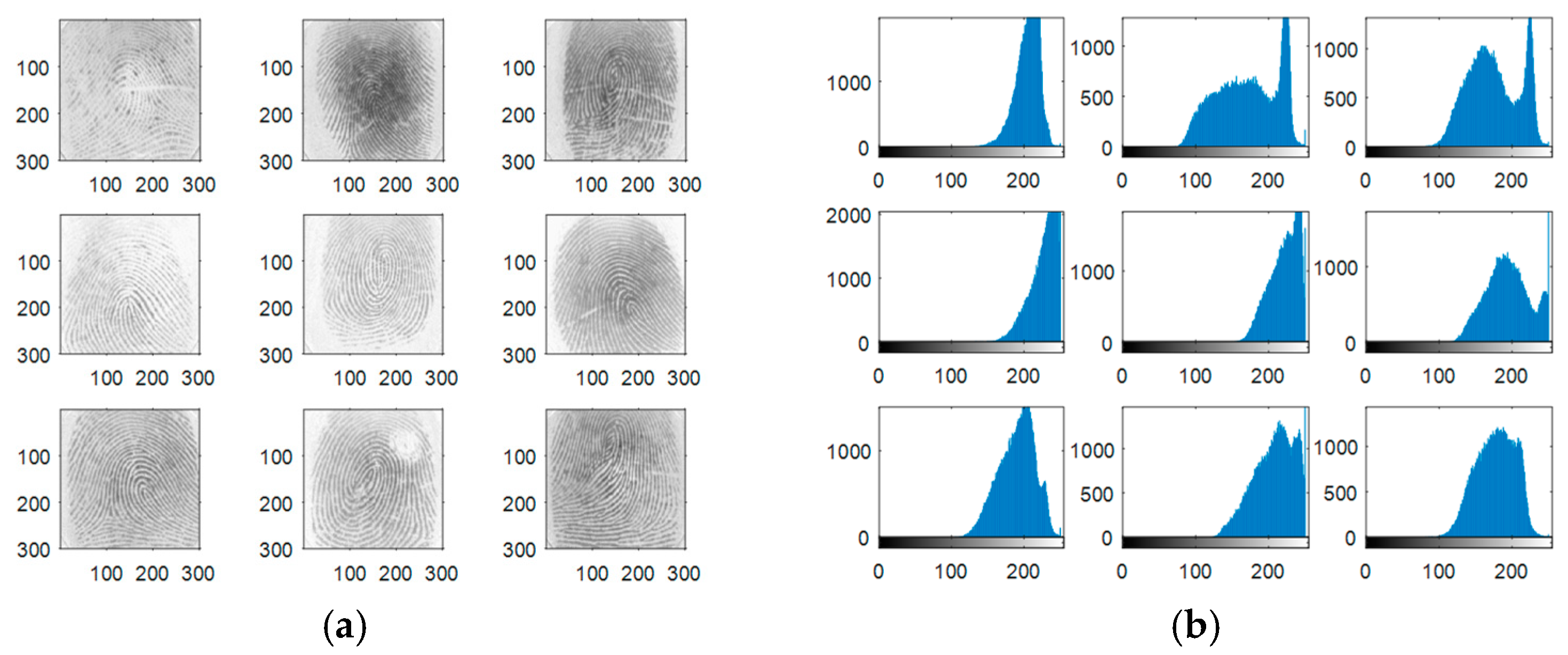 Entropy 22 01361 g008