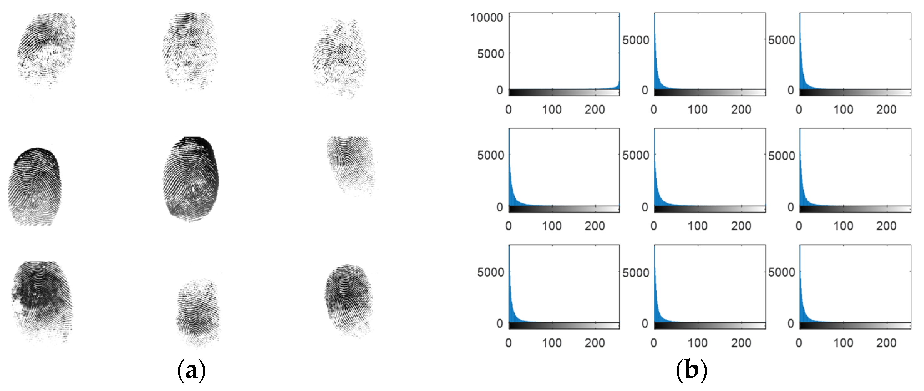 Entropy 22 01361 g009