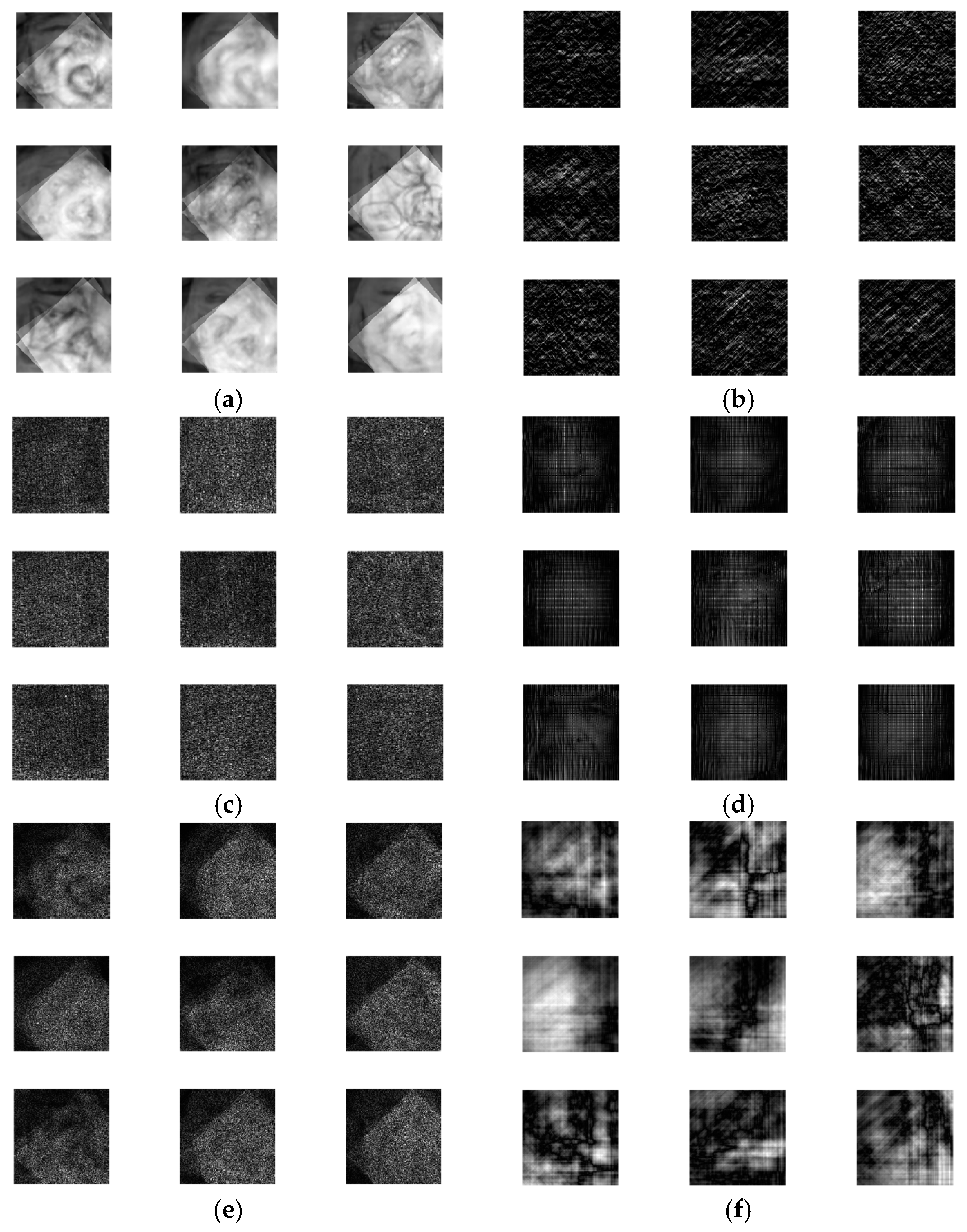 Entropy 22 01361 g012