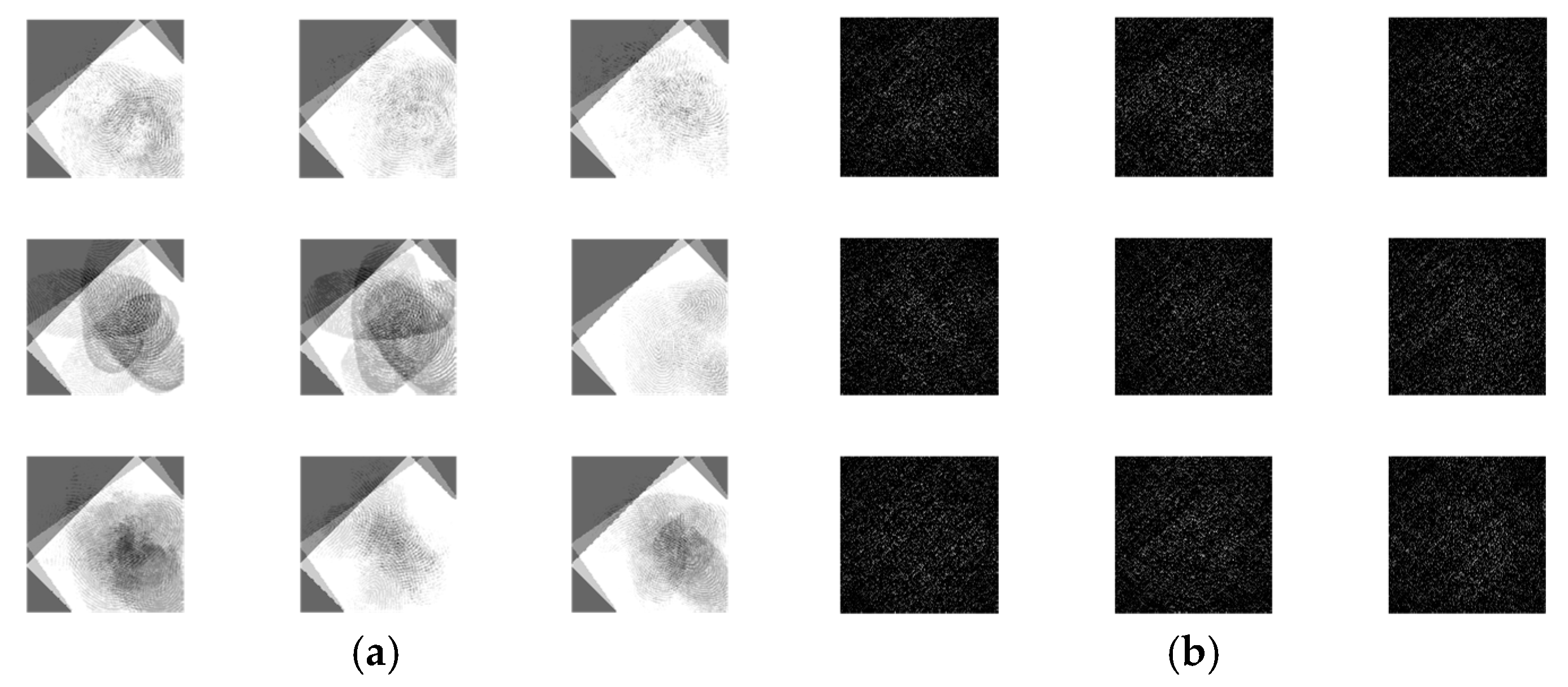 Entropy 22 01361 g014a