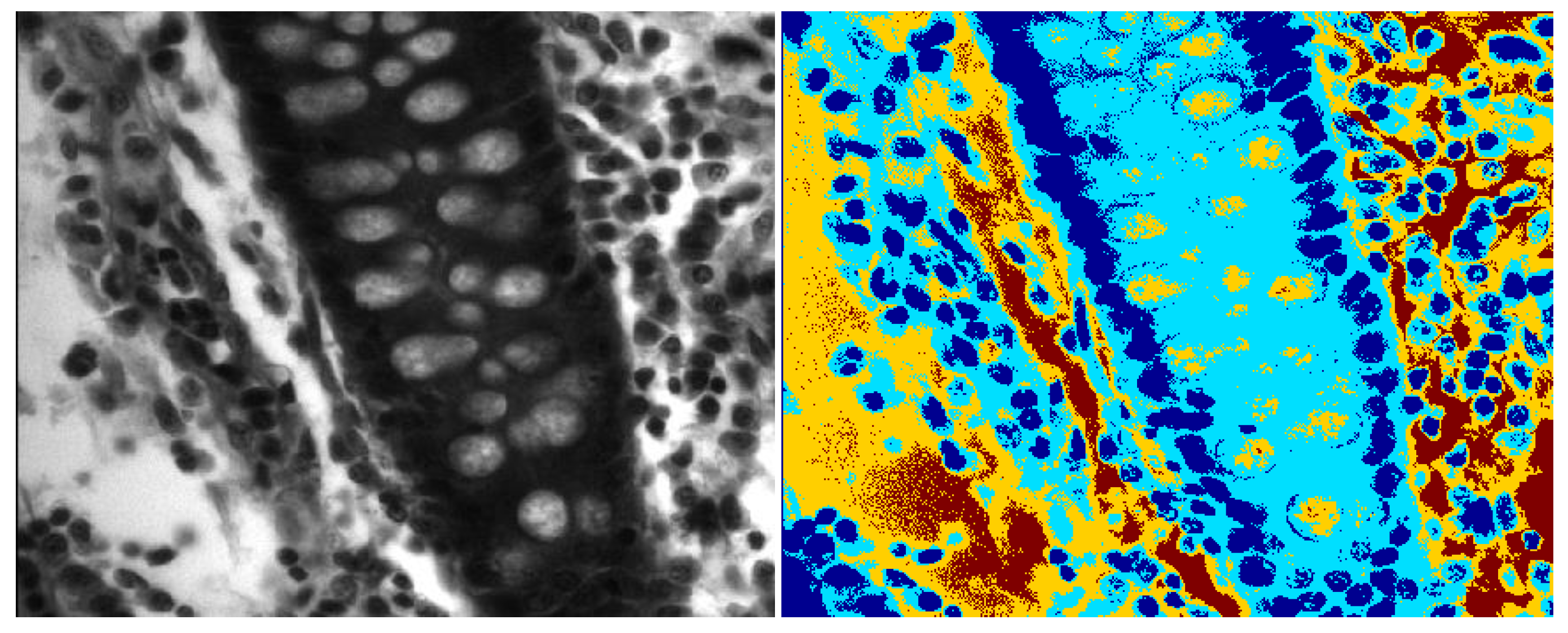 Entropy 22 01370 g004 Entropy 22 01370 g004