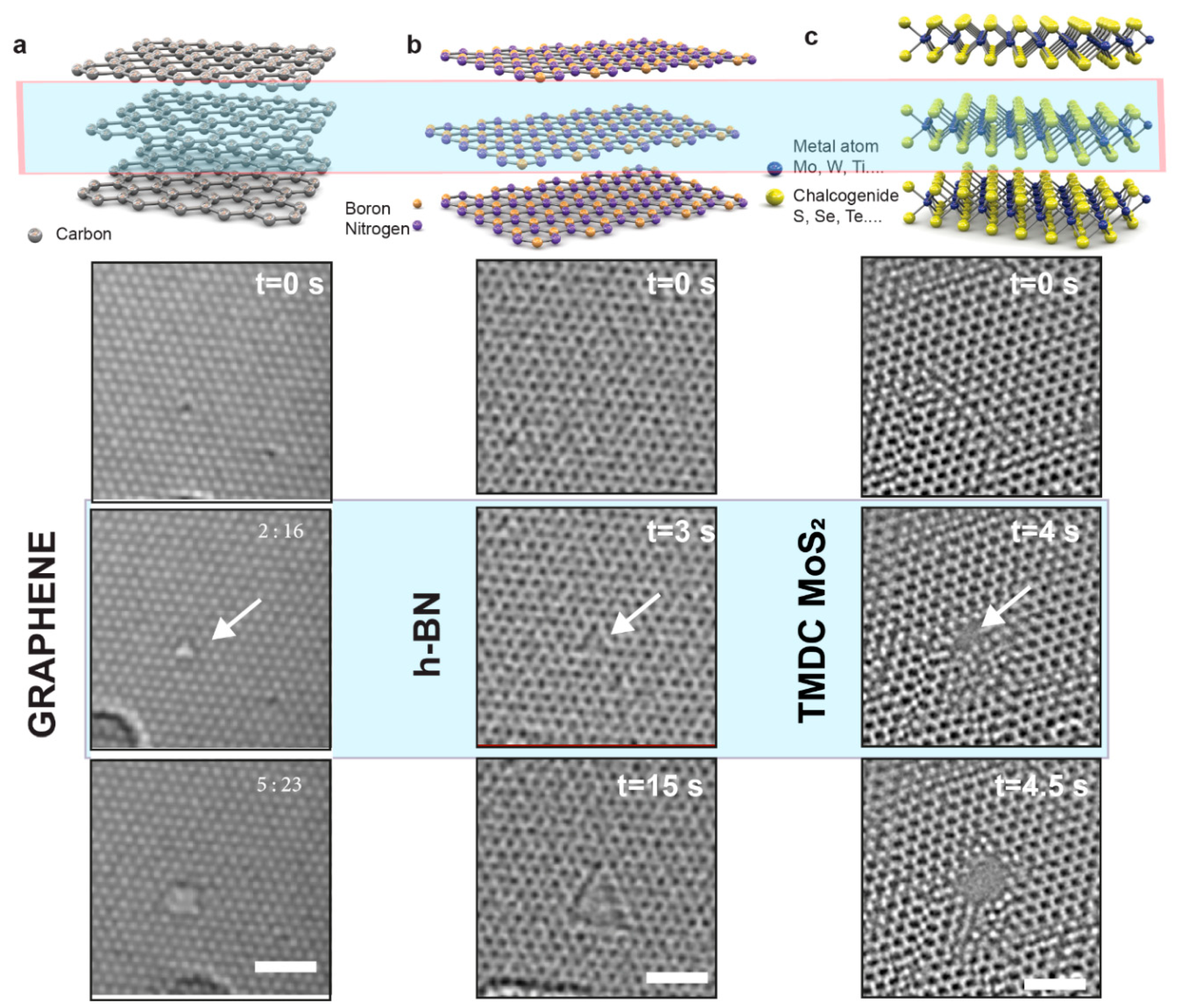 Entropy 22 01430 g002