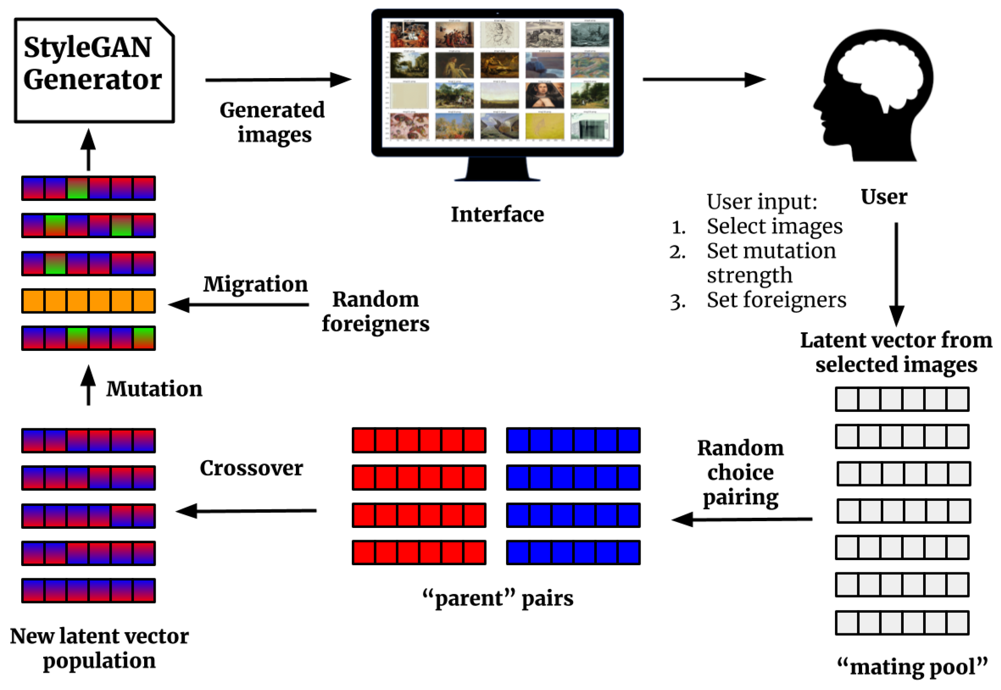 Entropy 23 00011 g003 Entropy 23 00011 g003