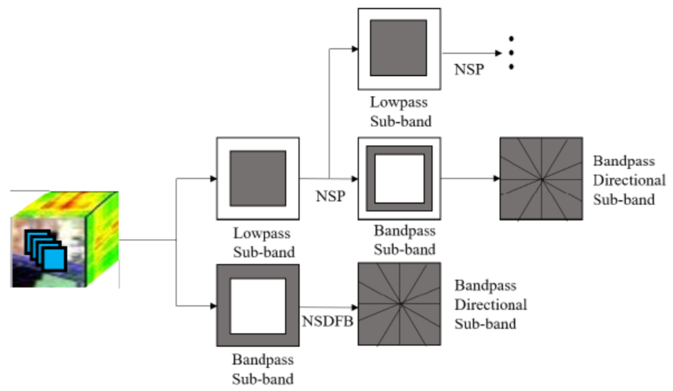 Entropy 23 00020 g001