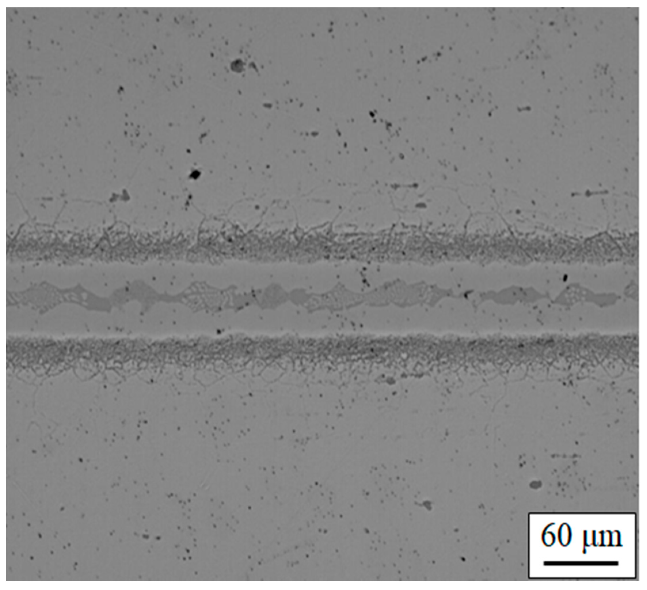 Entropy 23 00078 g007