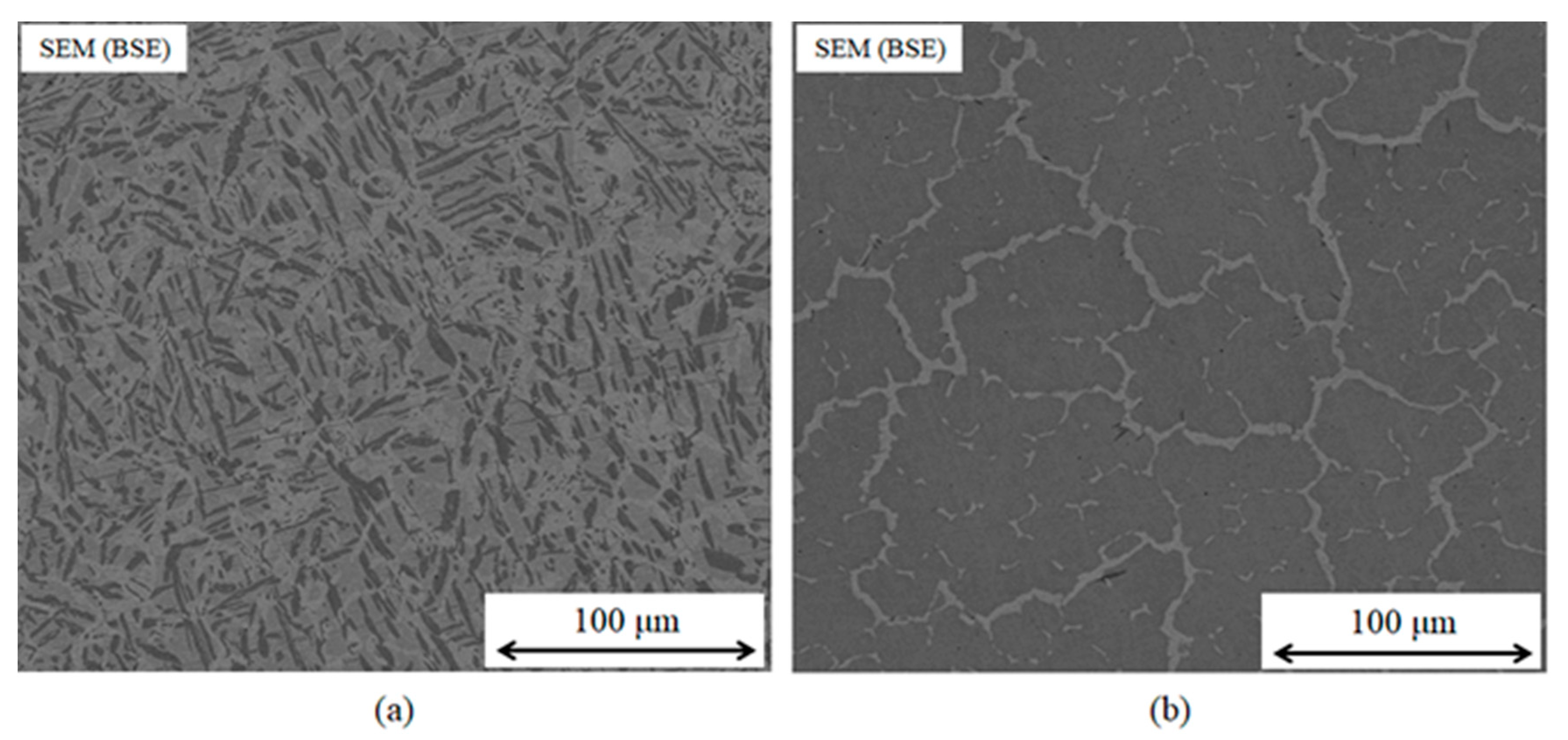 Entropy 23 00078 g008