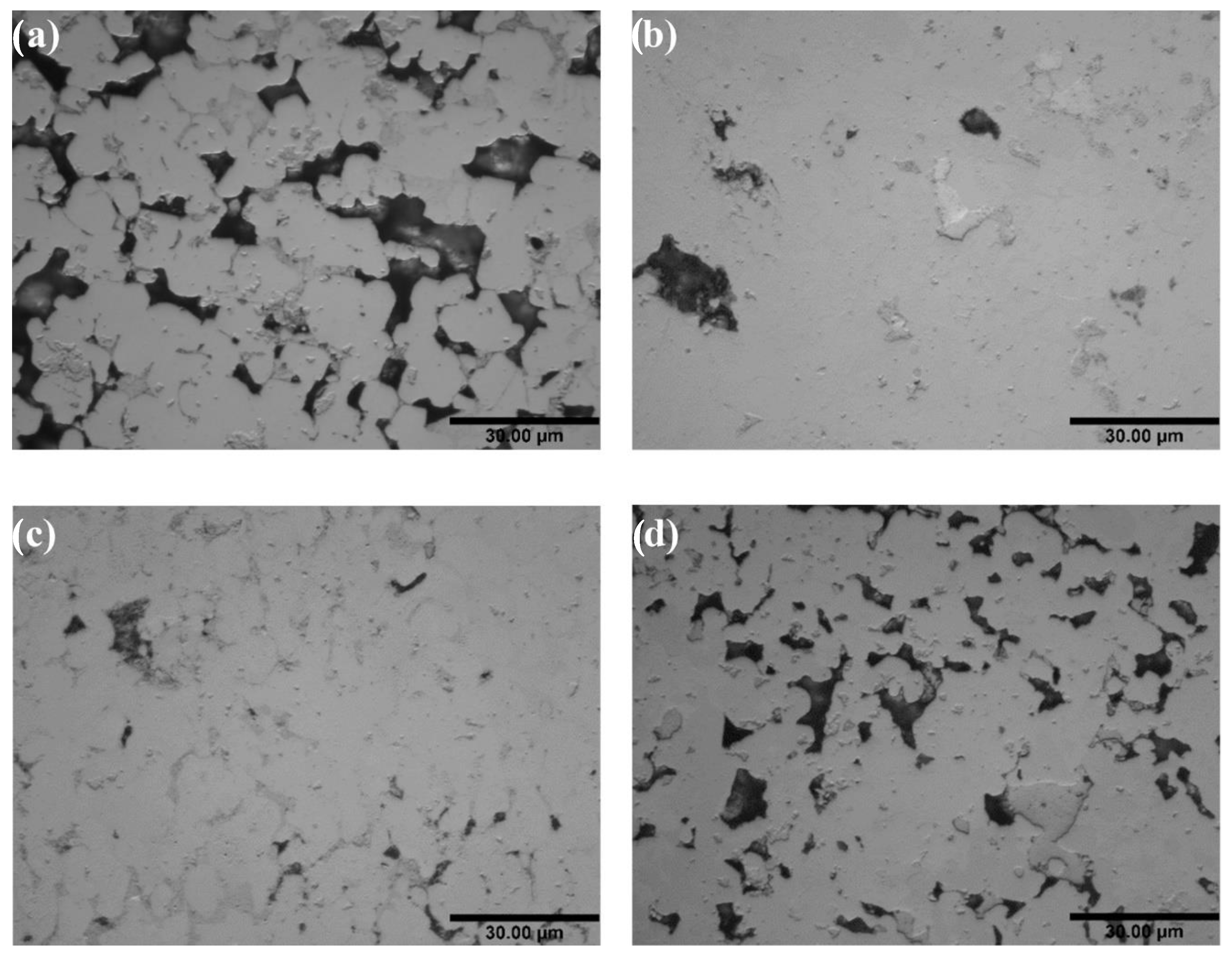 Entropy 23 00078 g010