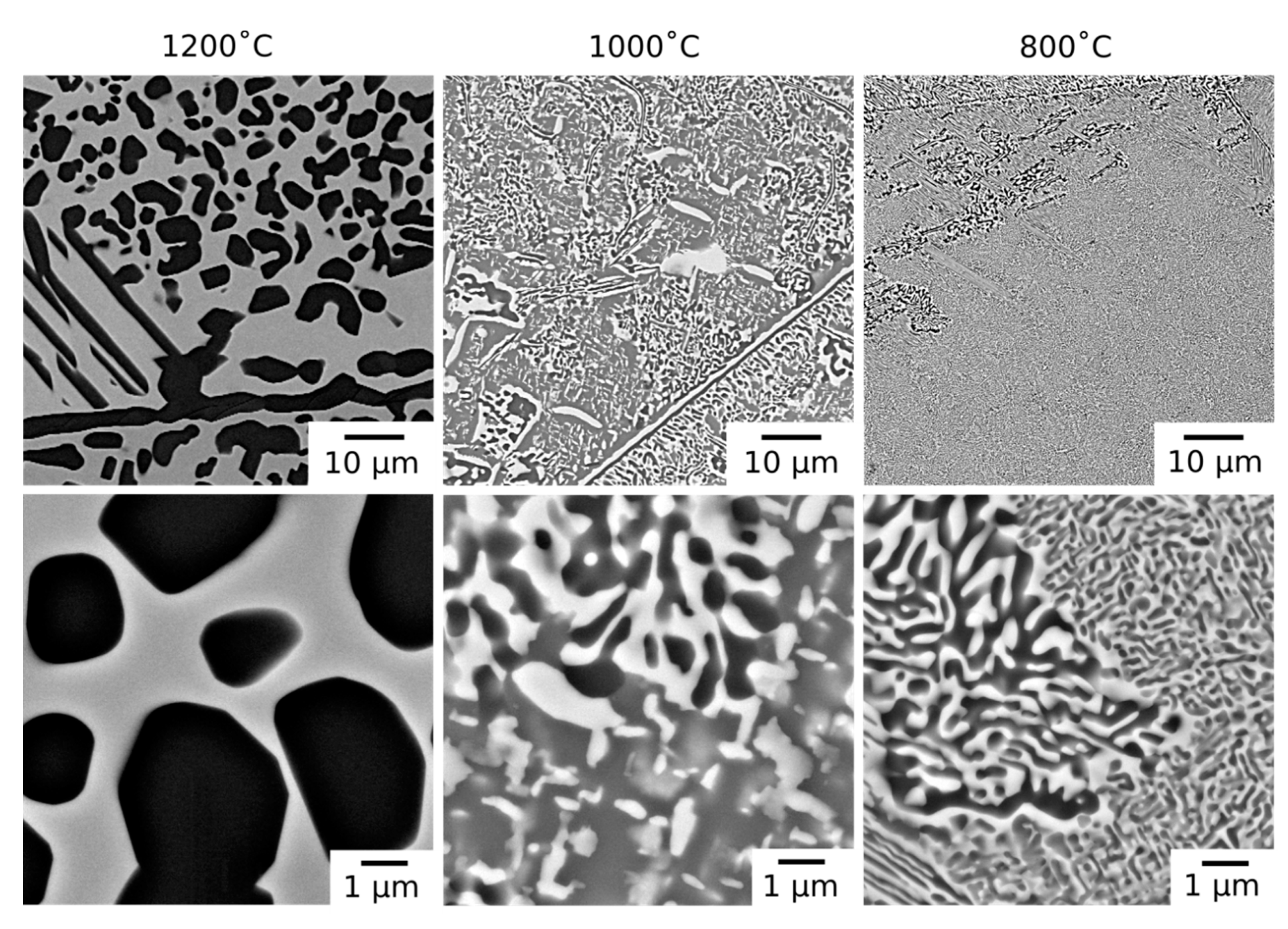 Entropy 23 00080 g002