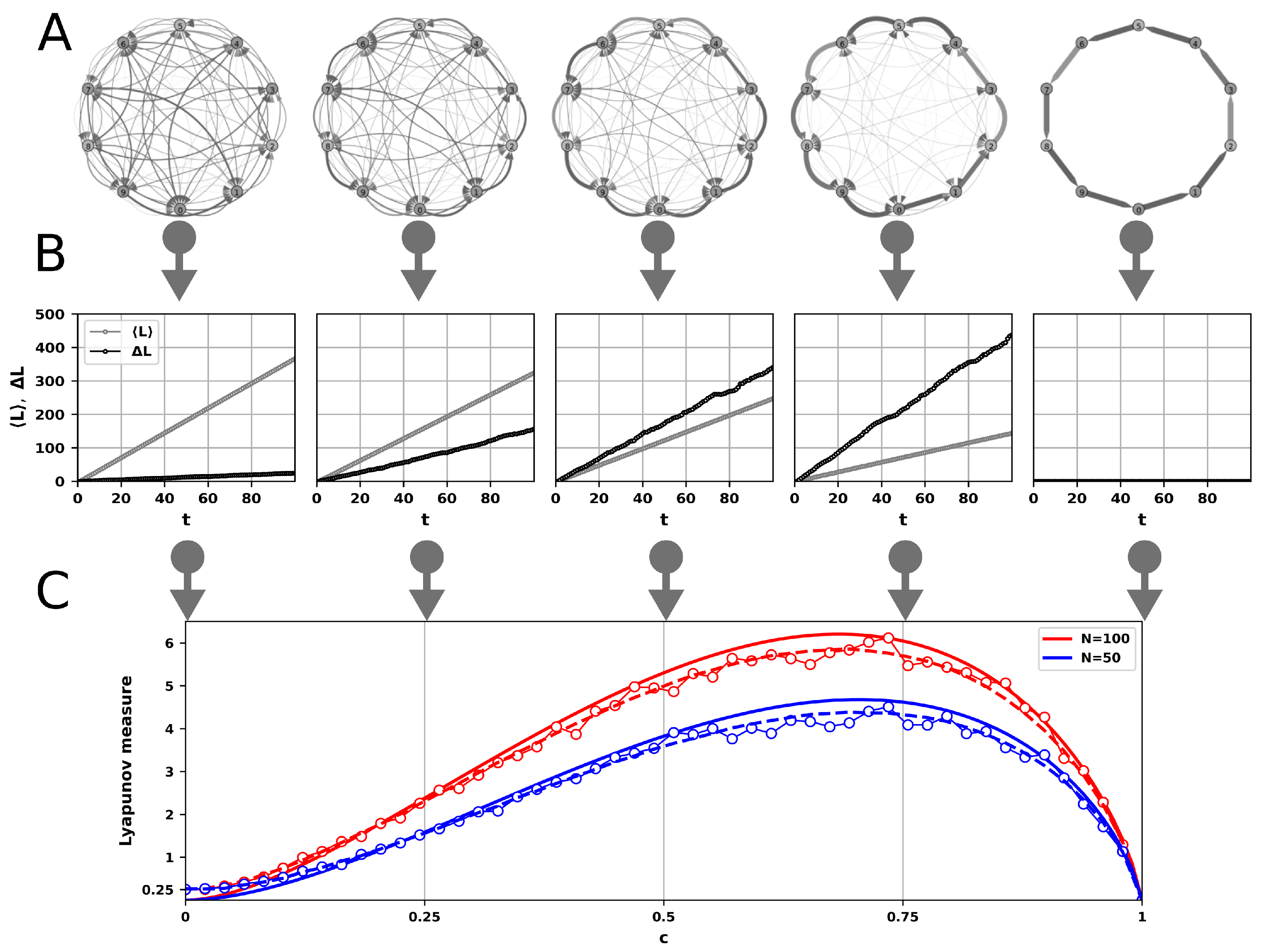 A Novel Measure Inspired by Lyapunov Exponents for the