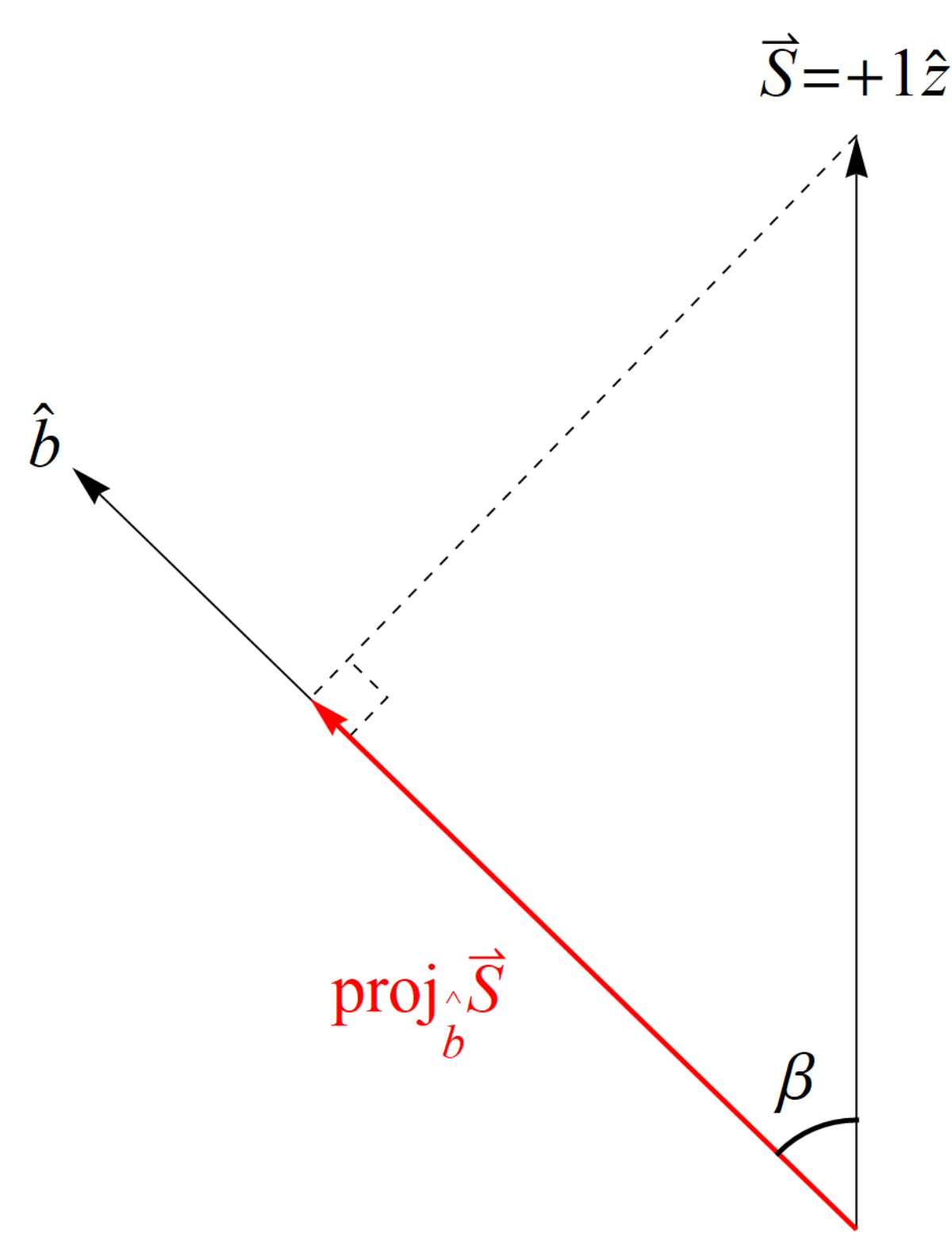 Entropy 23 00114 g002