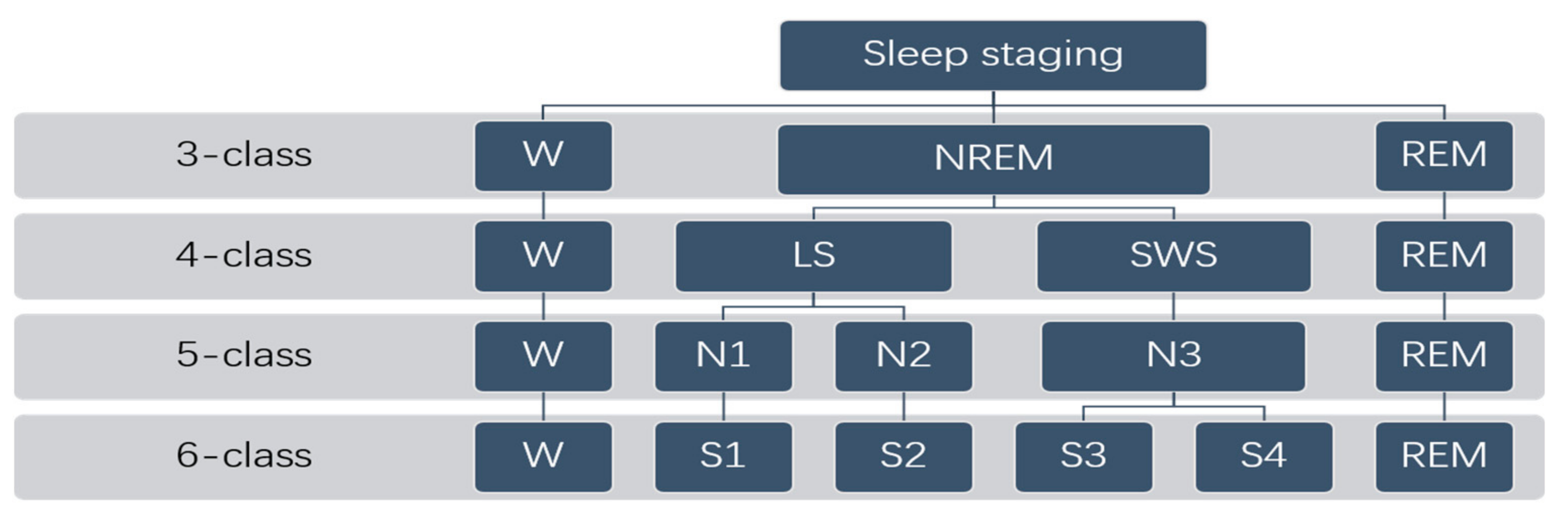 Entropy 23 00116 g002 Entropy 23 00116 g002