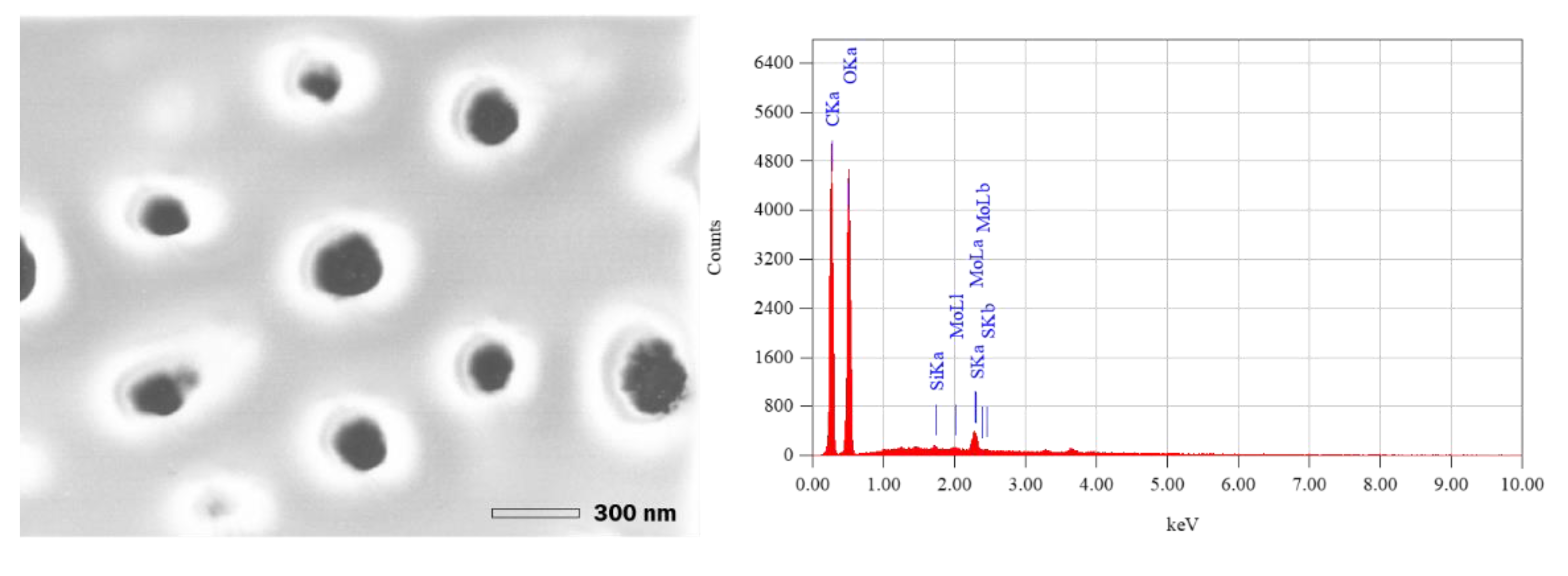 Entropy 23 00142 g003 Entropy 23 00142 g003