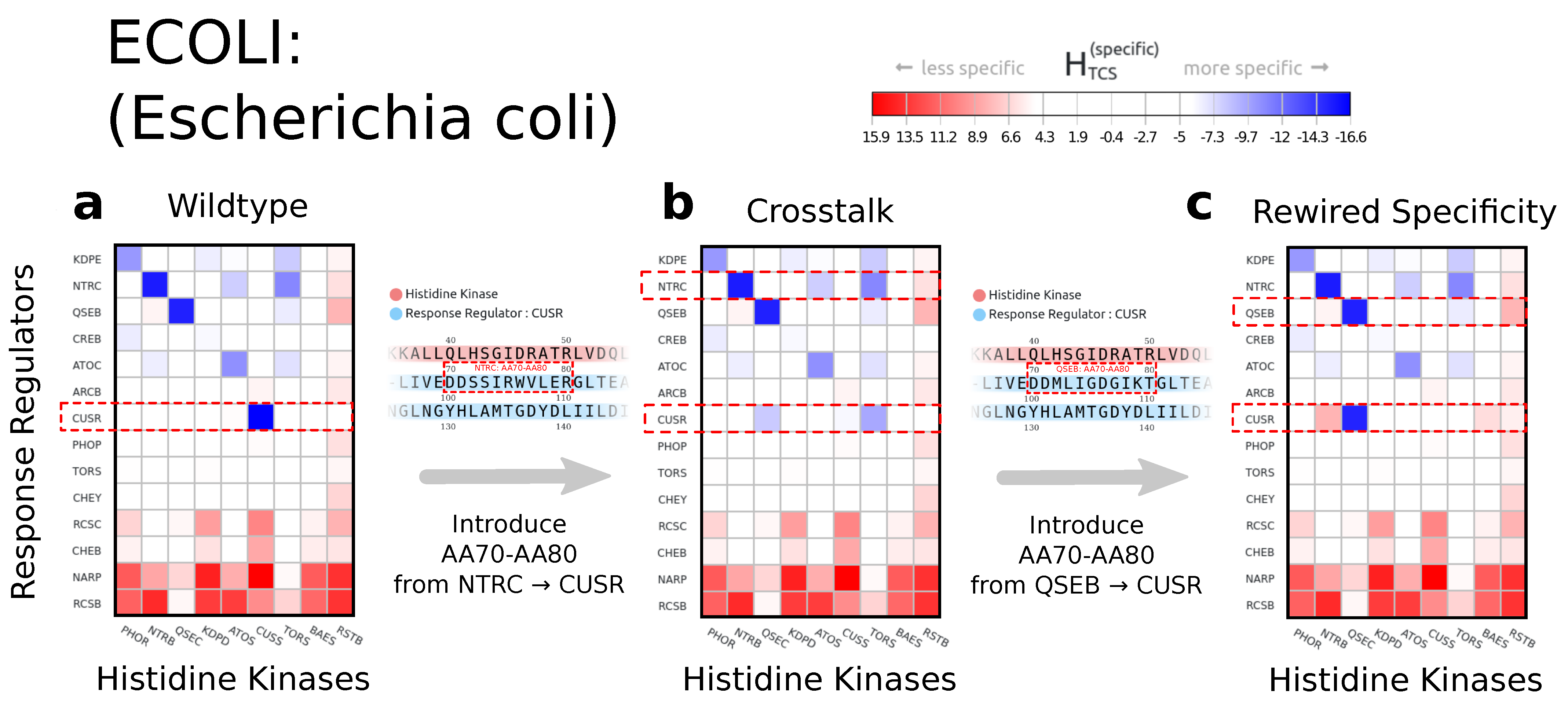 Entropy 23 00170 g004 Entropy 23 00170 g004