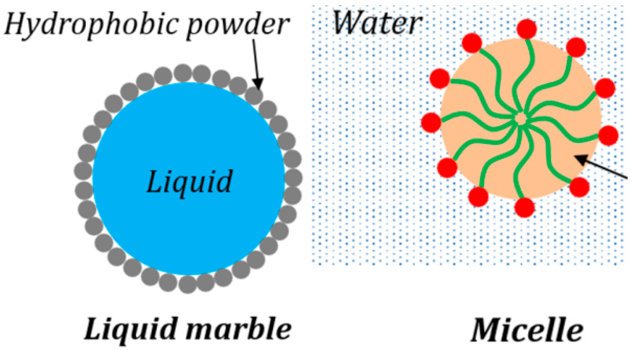 Entropy 23 00181 g003