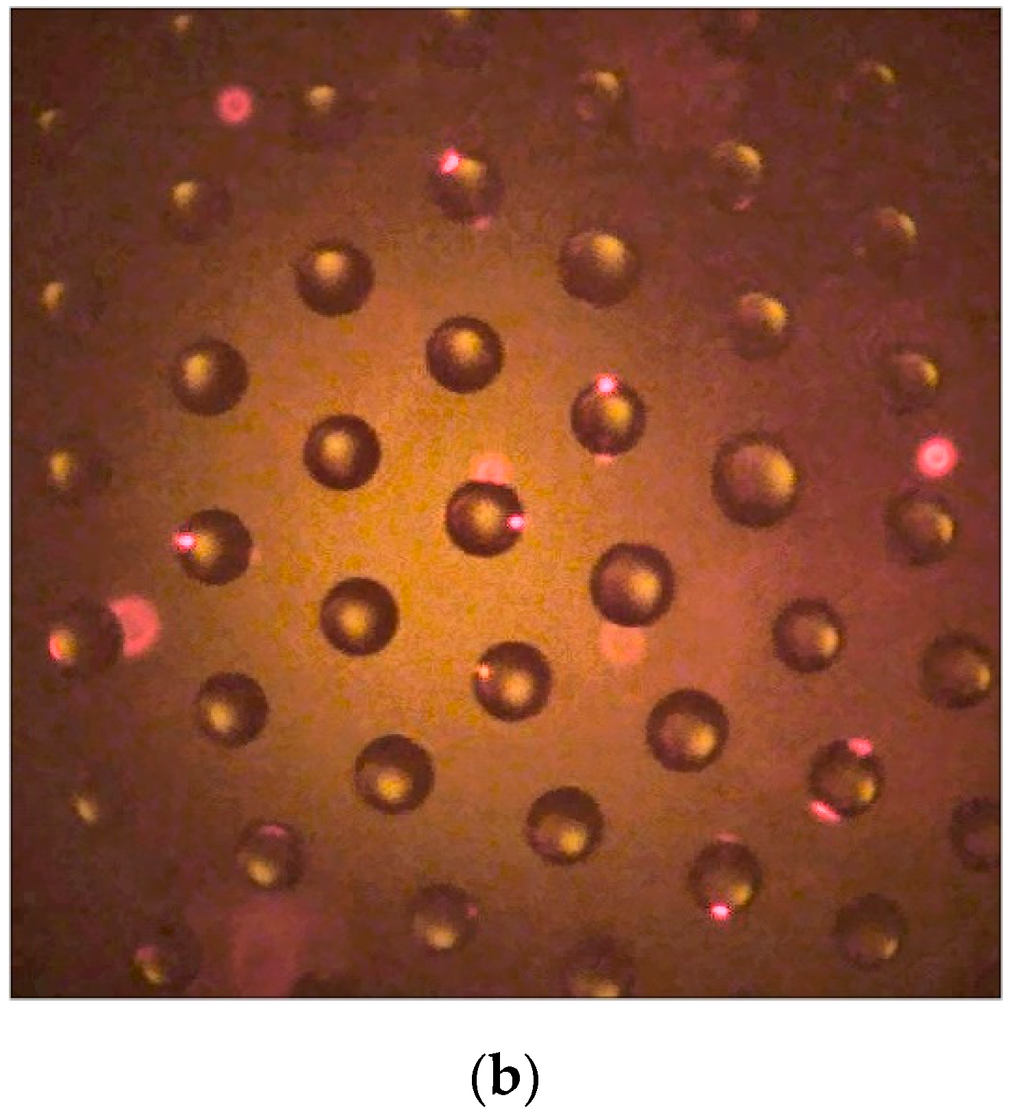 Entropy 23 00181 g005b