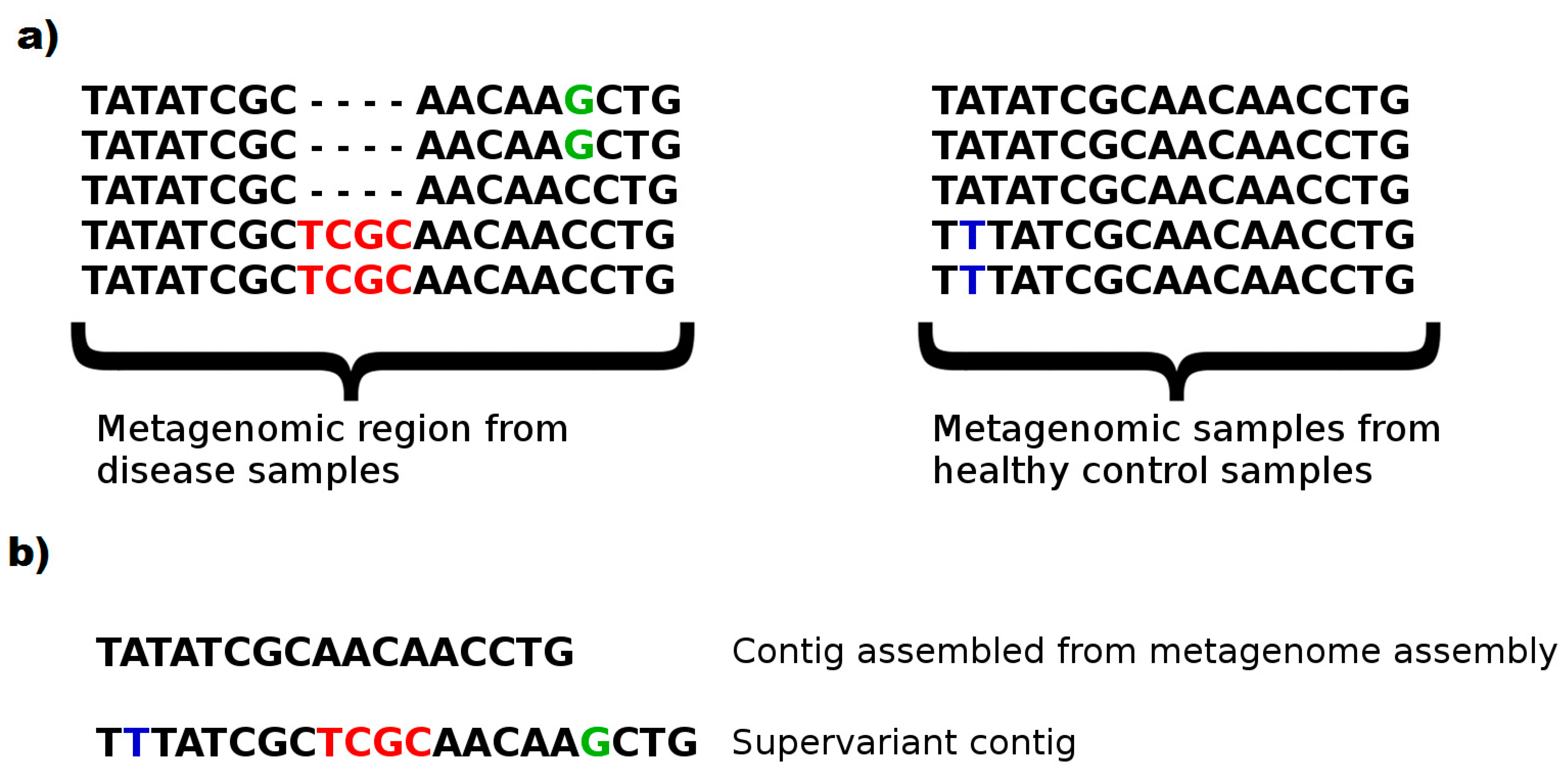 Entropy 23 00187 g005