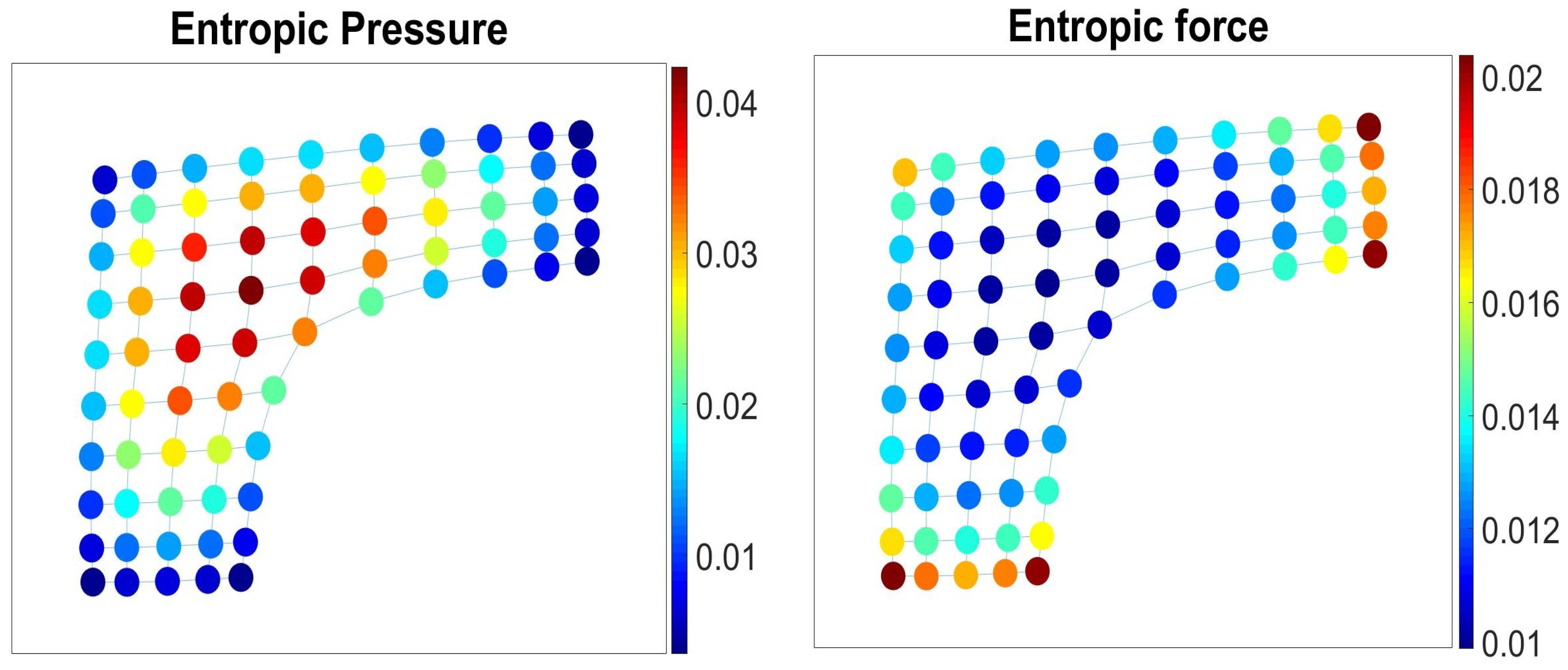Entropy 23 00205 g001