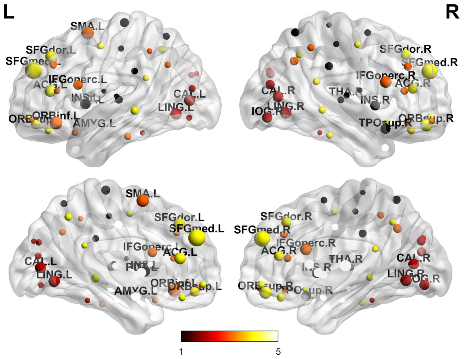 Entropy 23 00216 g001