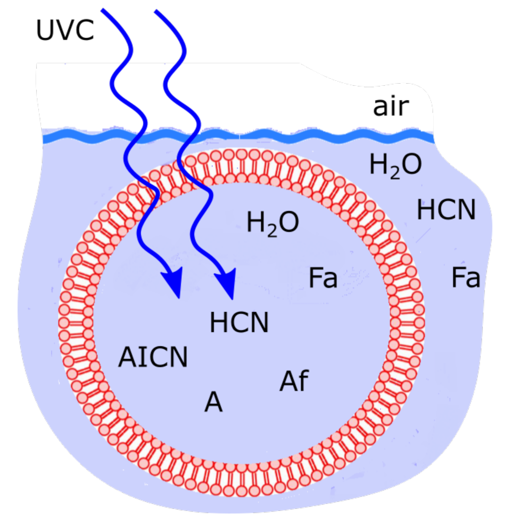 Entropy 23 00217 g005