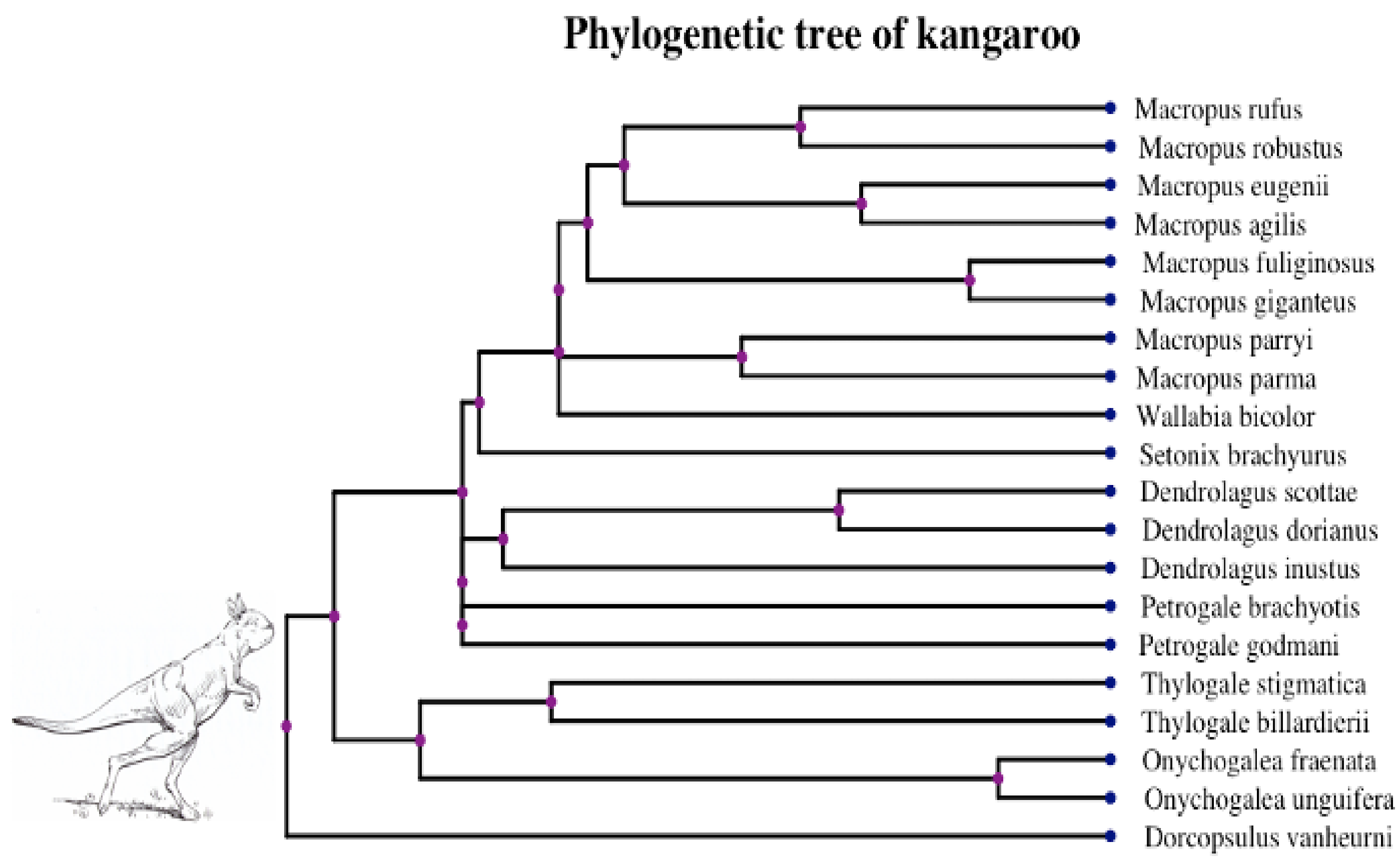 Entropy 23 00218 g005