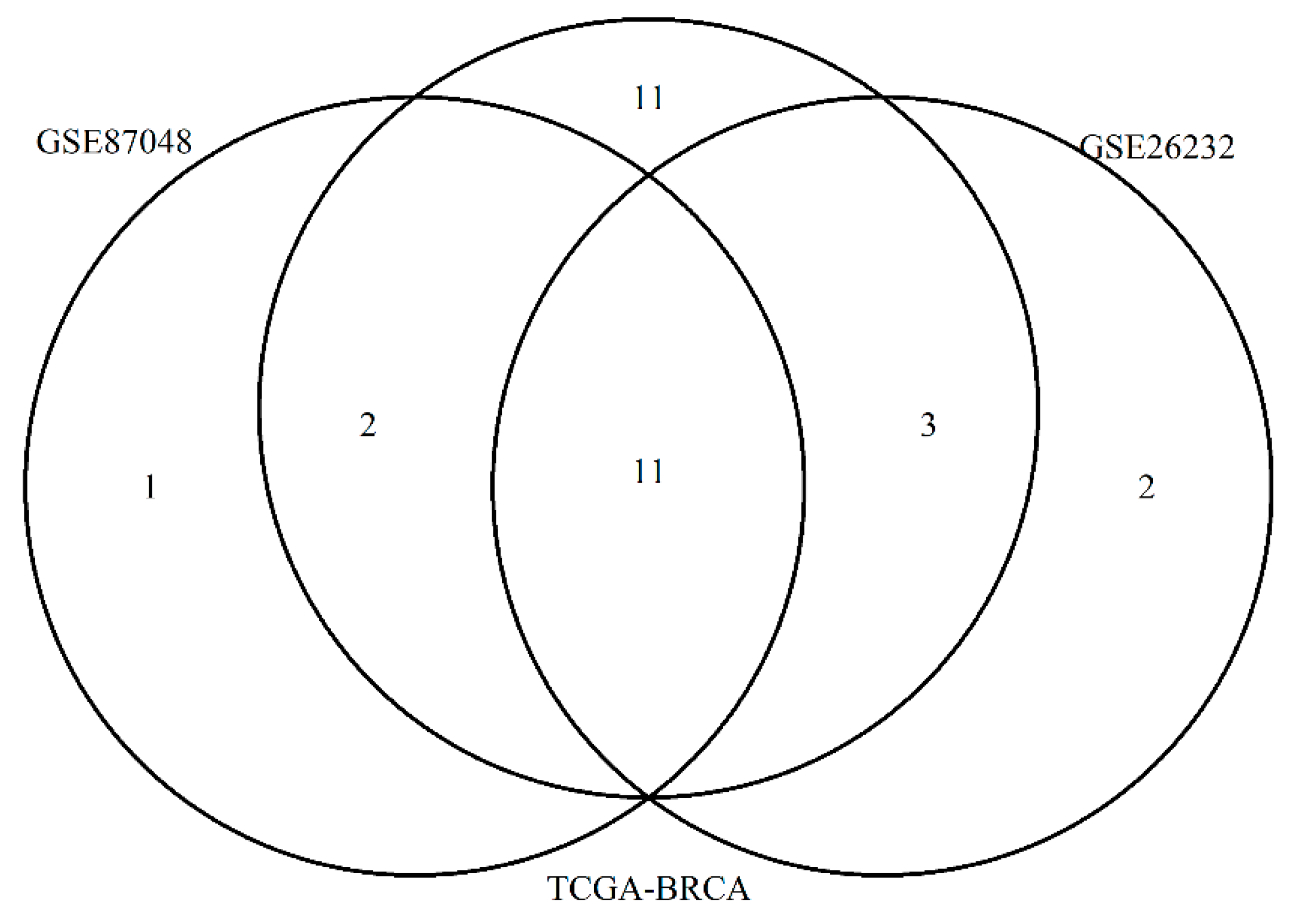 Entropy 23 00225 g003 Entropy 23 00225 g003